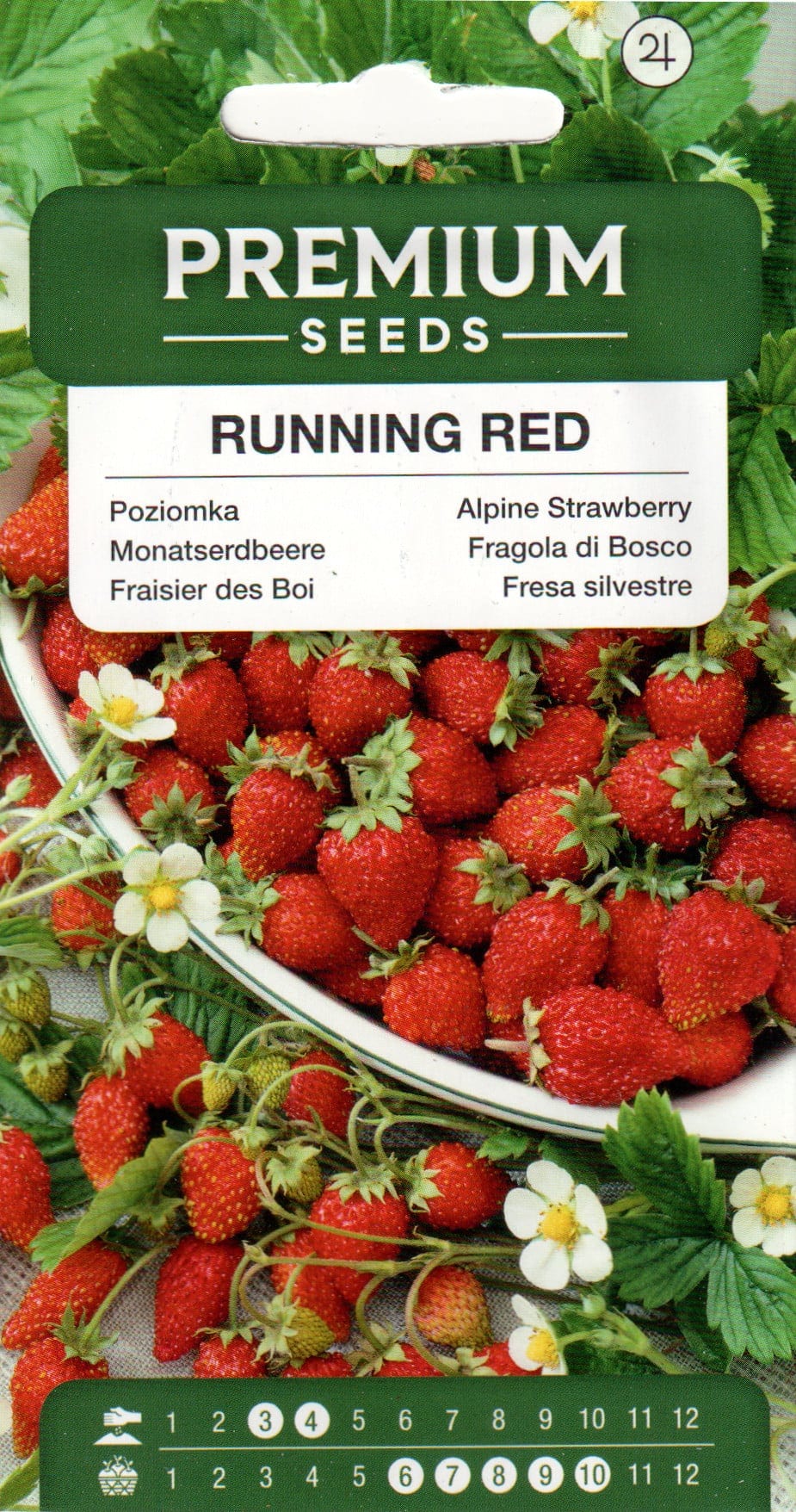 Kuumaasikas "Running Red"