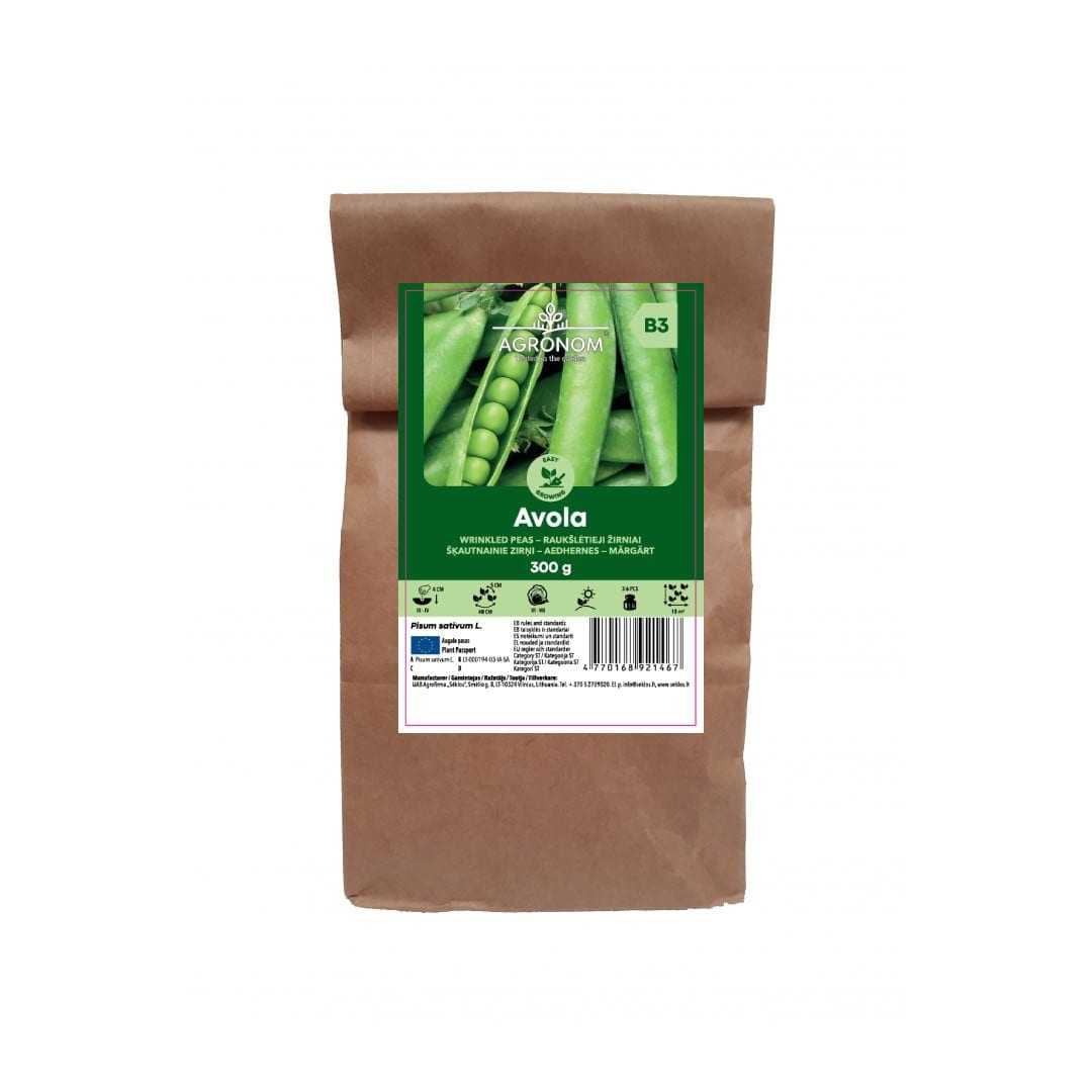 Aedhernes "Avola" 300 grammi