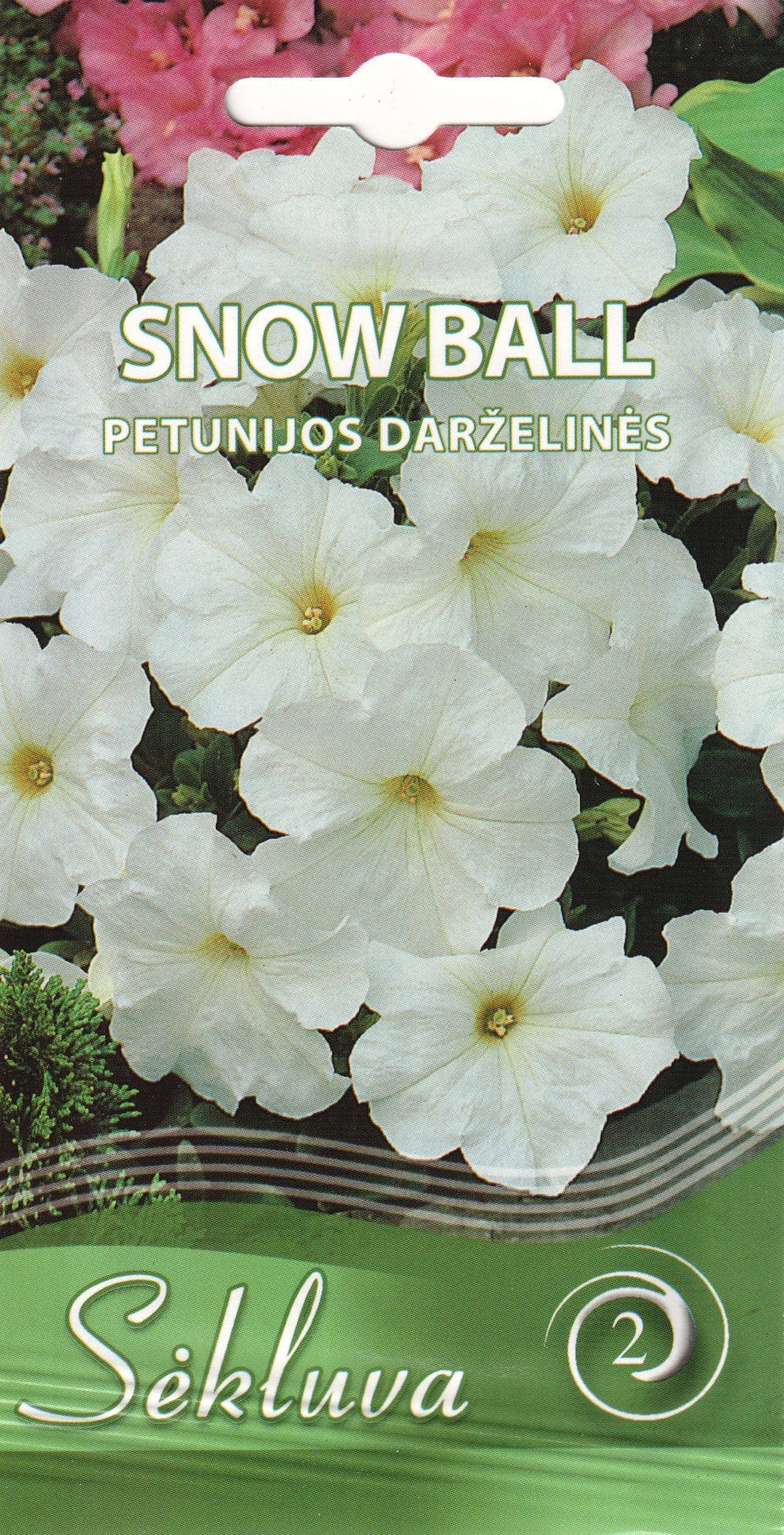 Petuunia "Snowball"