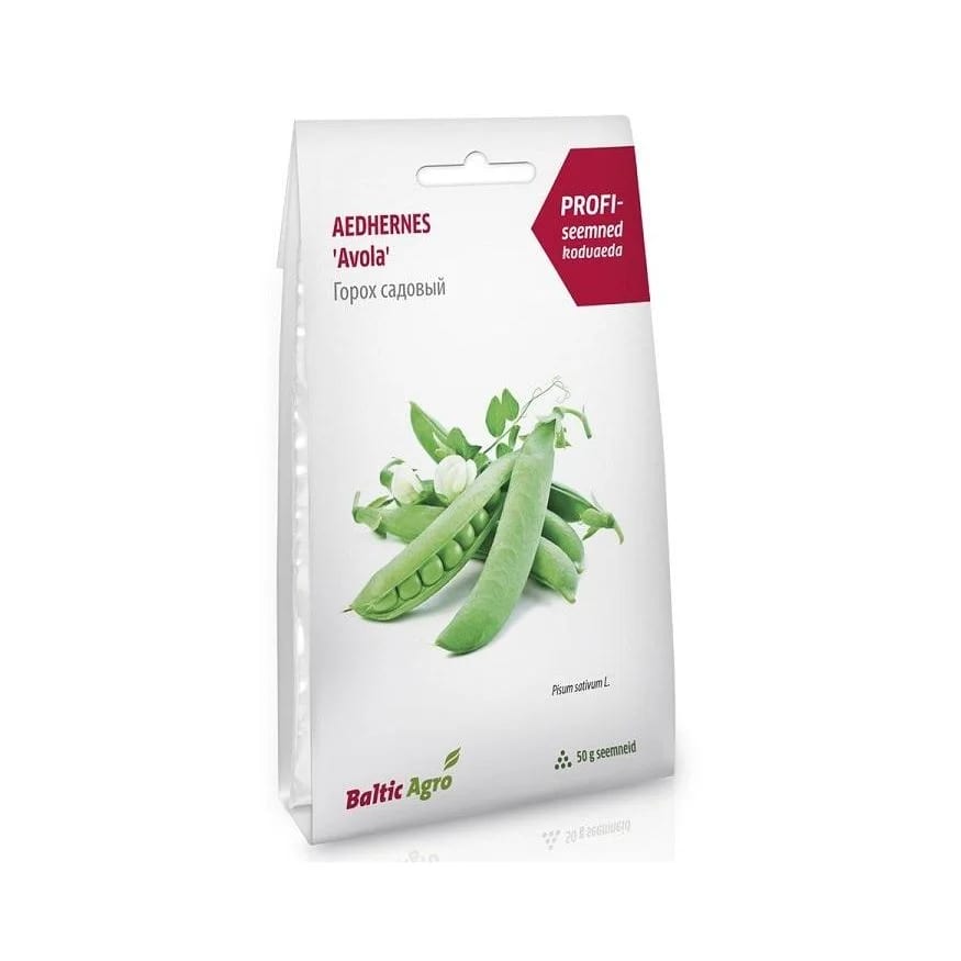 Aedhernes "Avola"