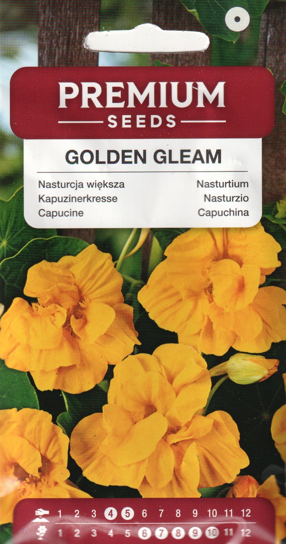 Suur mungalill "Golden Gleam"