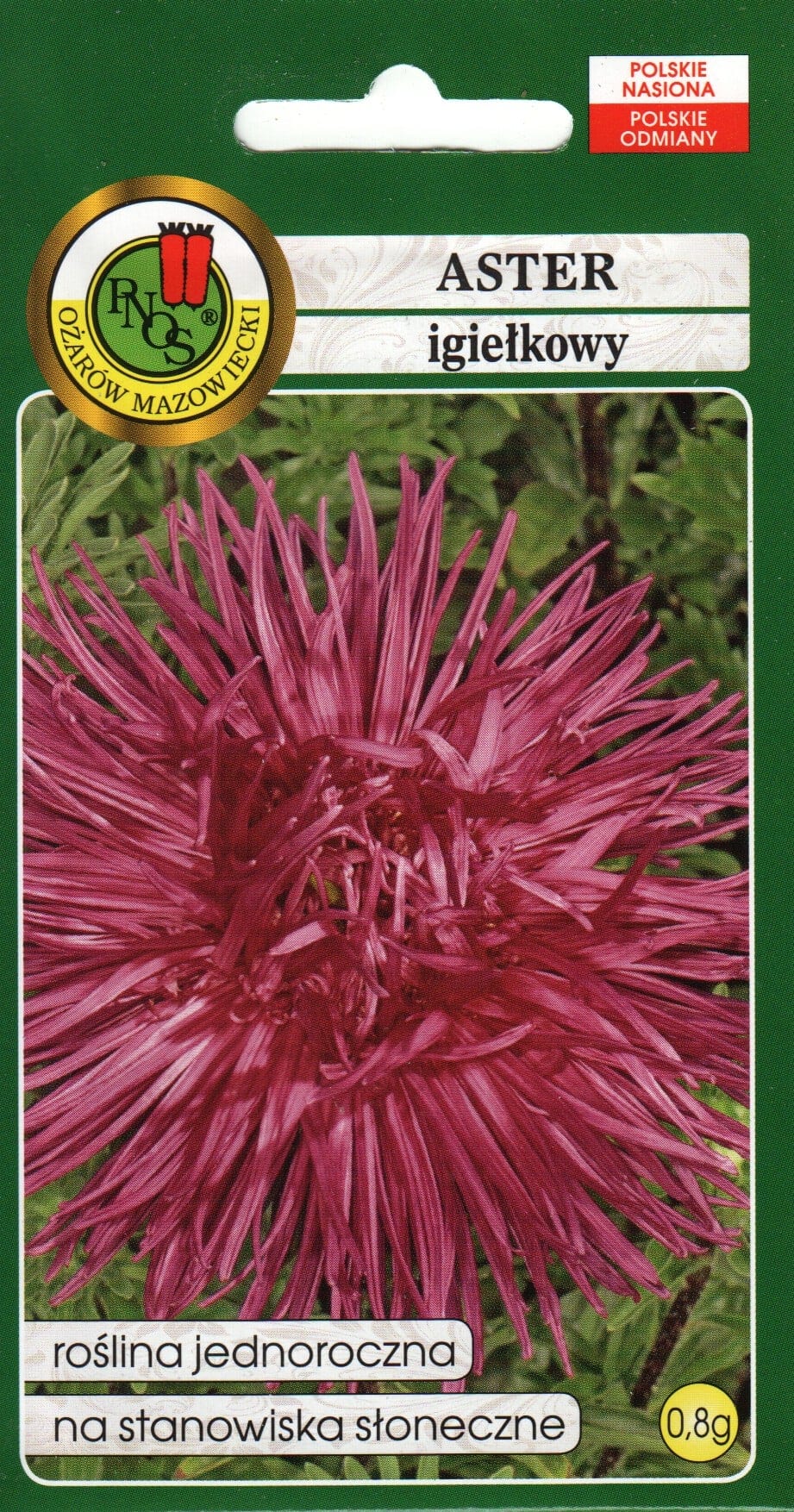 Aster tumeroosa