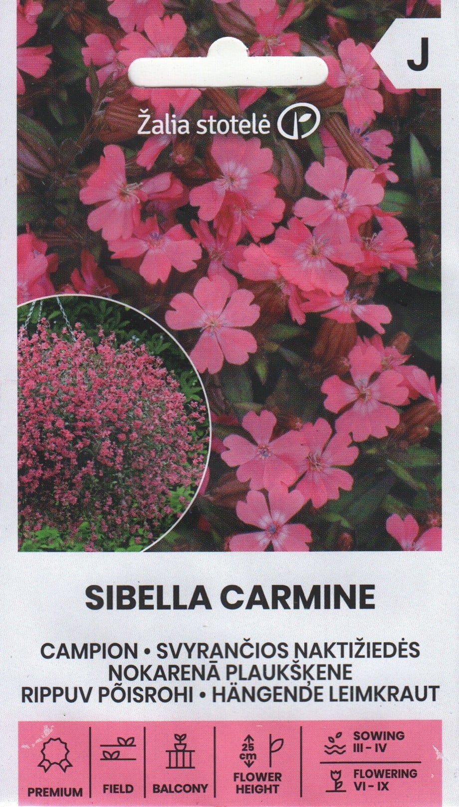 Rippuv põisrohi "Sibella Carmine"