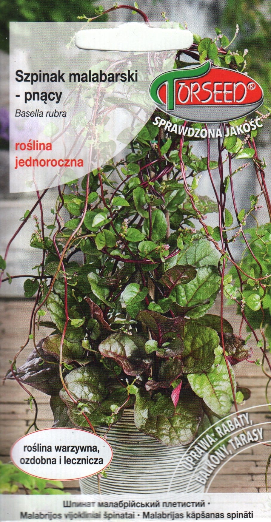 Spinatbasella "Rubra"