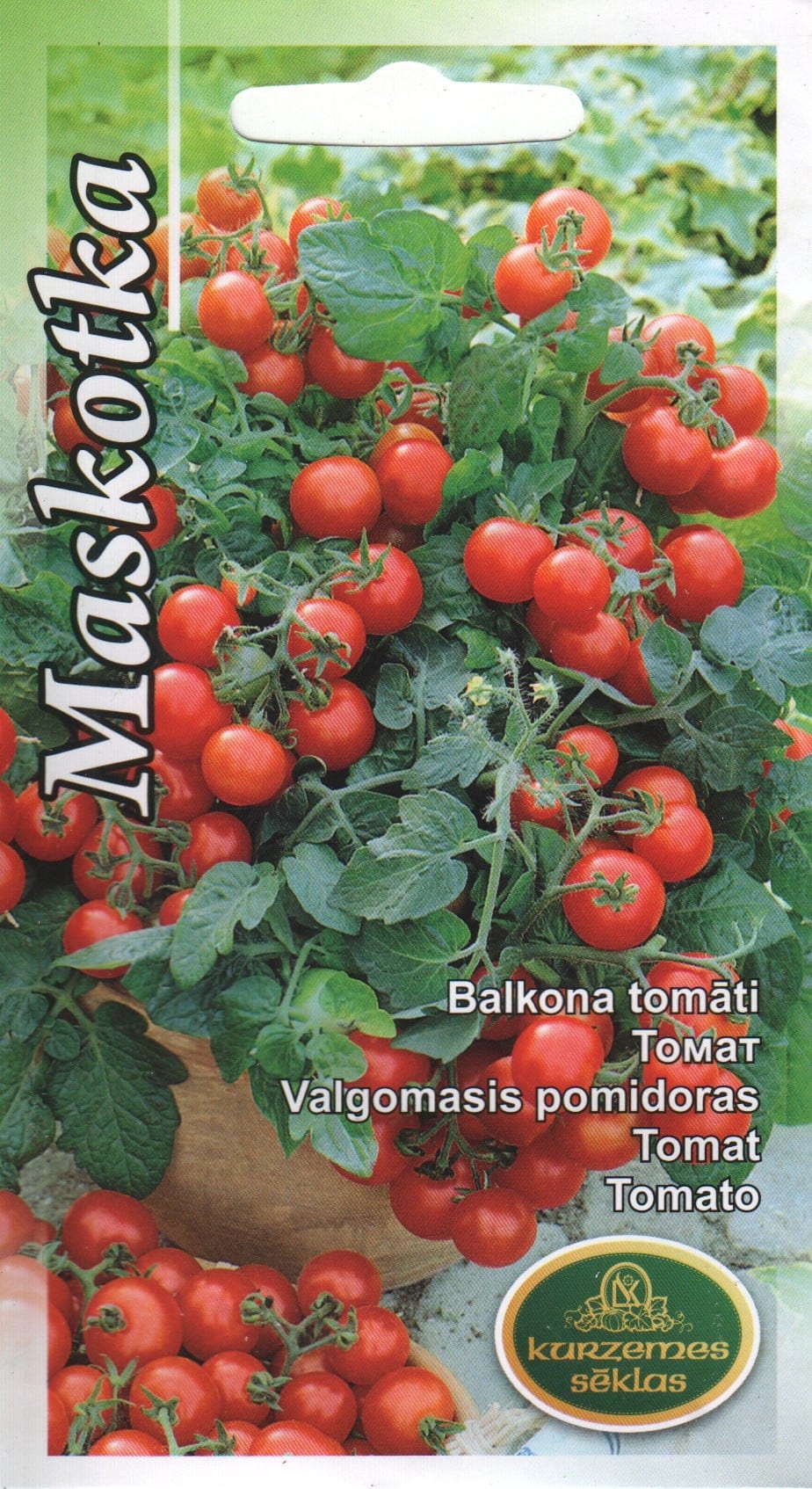 Tomat "Maskotka"
