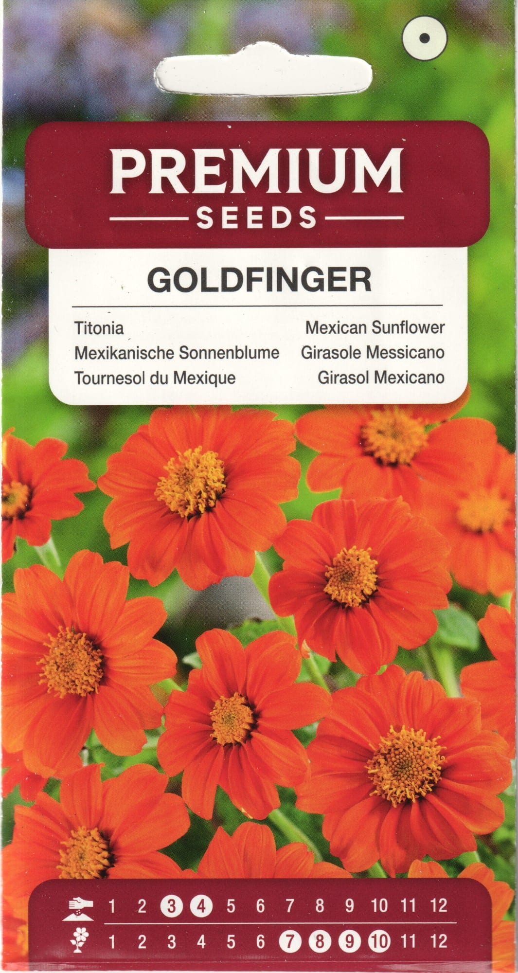 Ümaralehine titoonia "Goldfinger"