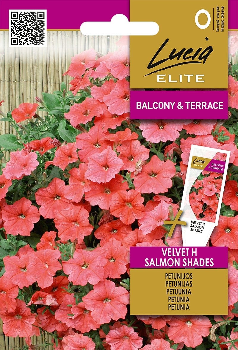 Petuunia "Salmon Shades Velvet" F1