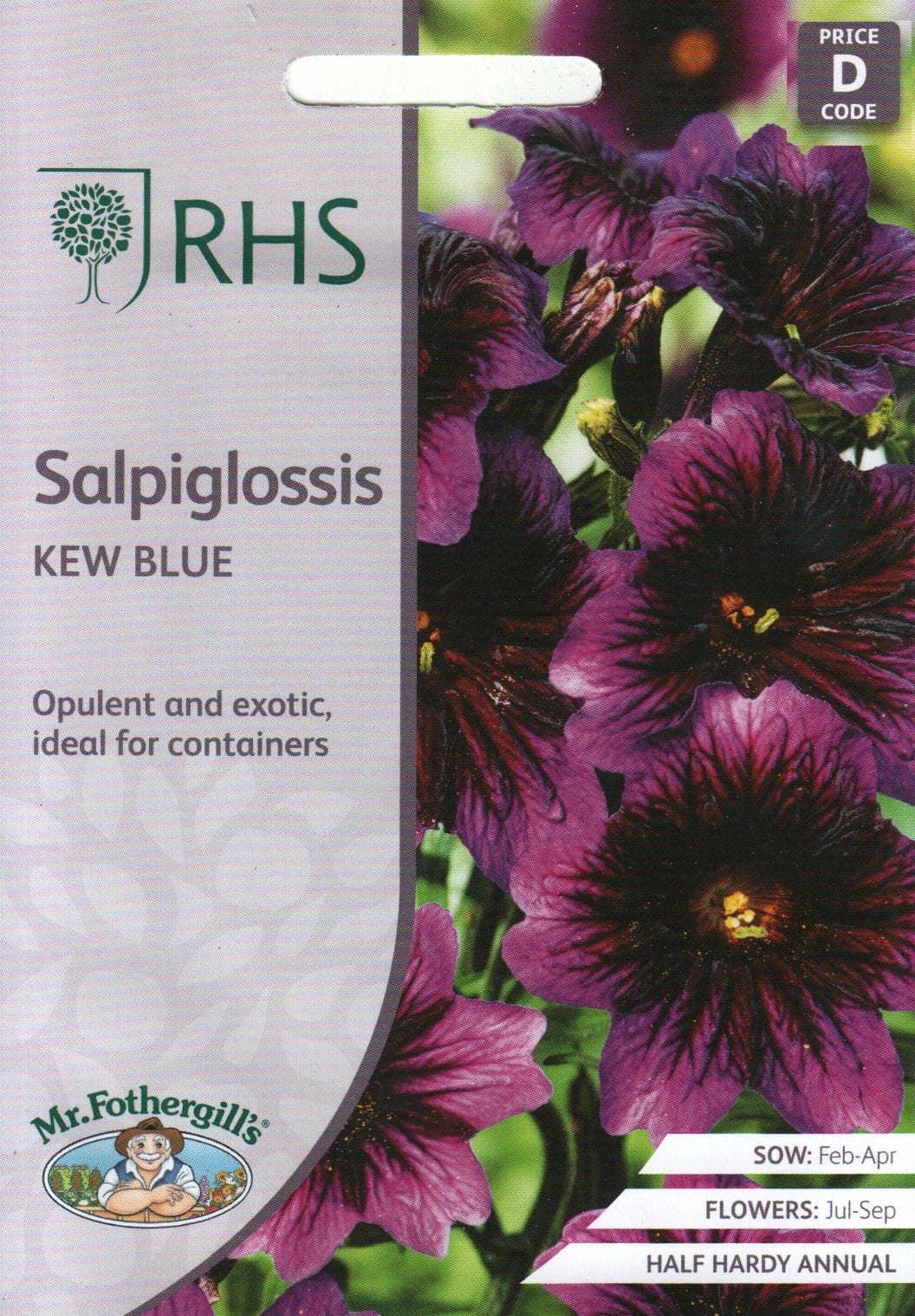 Sämpunud trompetlill "Kew Blue"