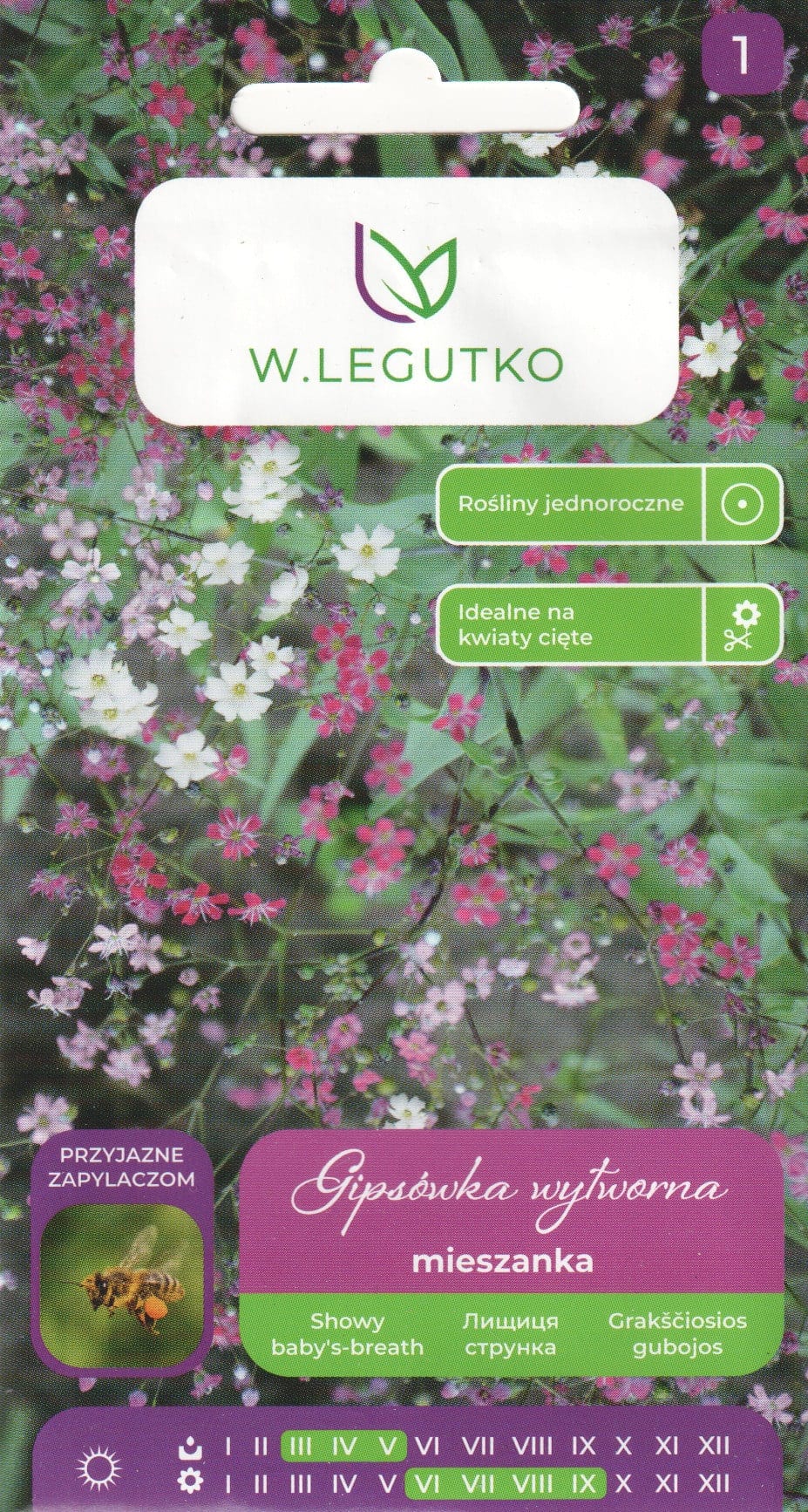 Kaunis kipslill segu