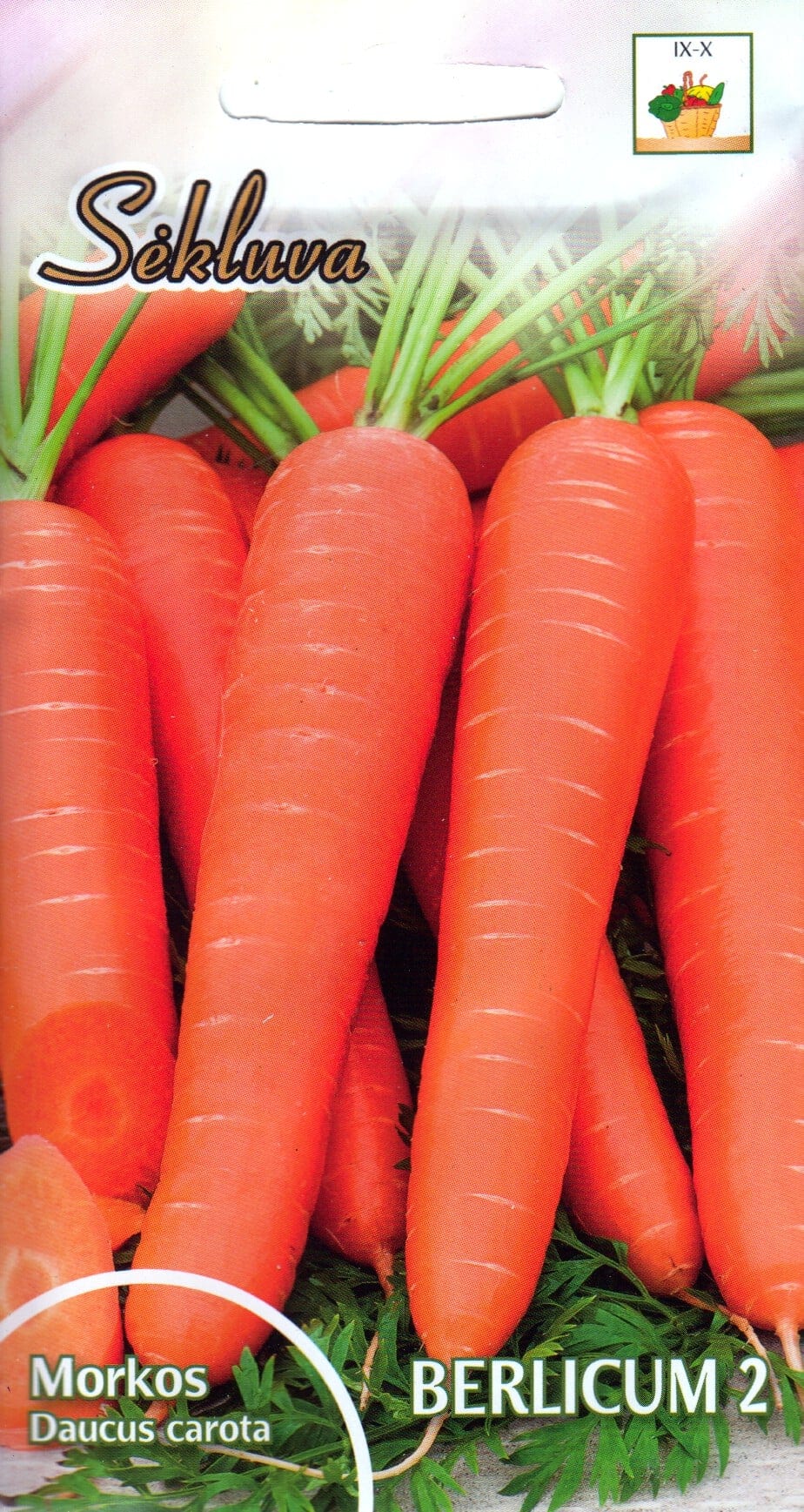 Porgand "Berlicum" / "Berlikum"