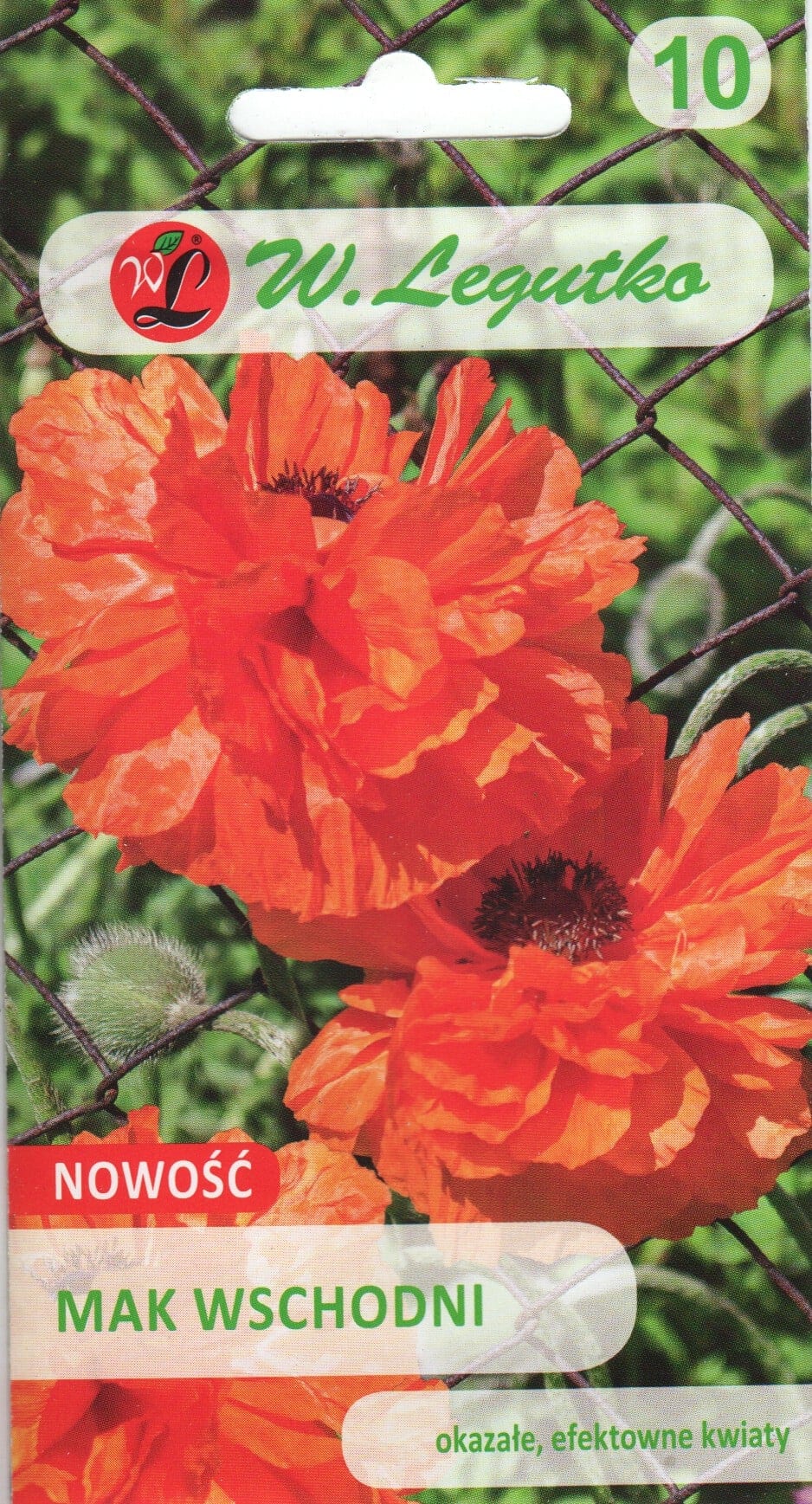 Idamagun "May Queen"
