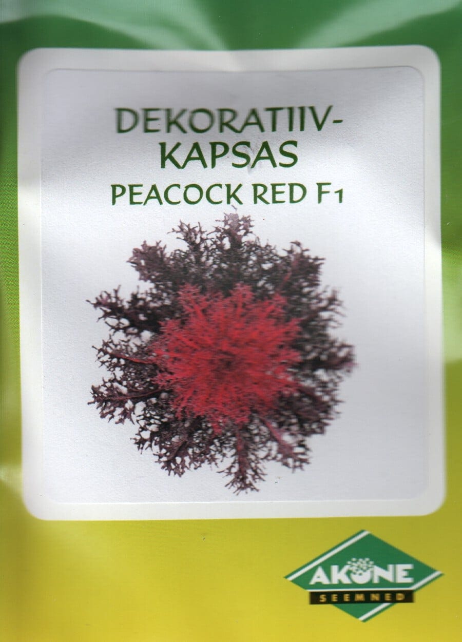 Dekoratiivkapsas "Peacock Red" F1
