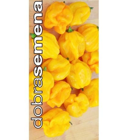 Kariibi paprika "Numex Suave Orange"