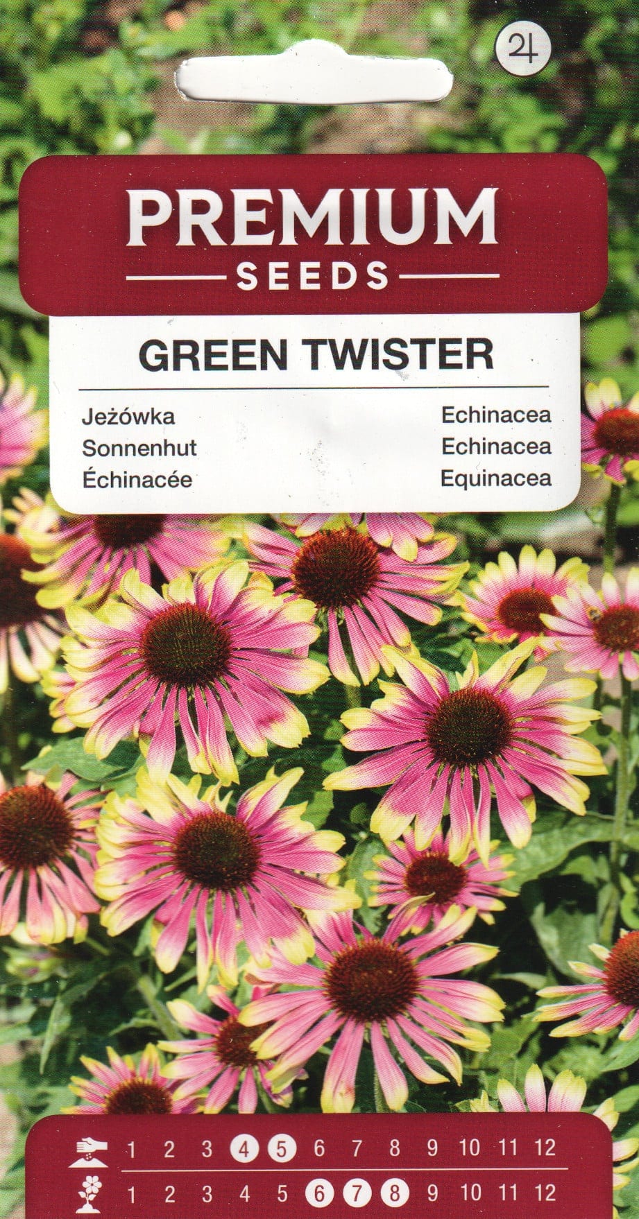 Siilkübar "Green Twister"