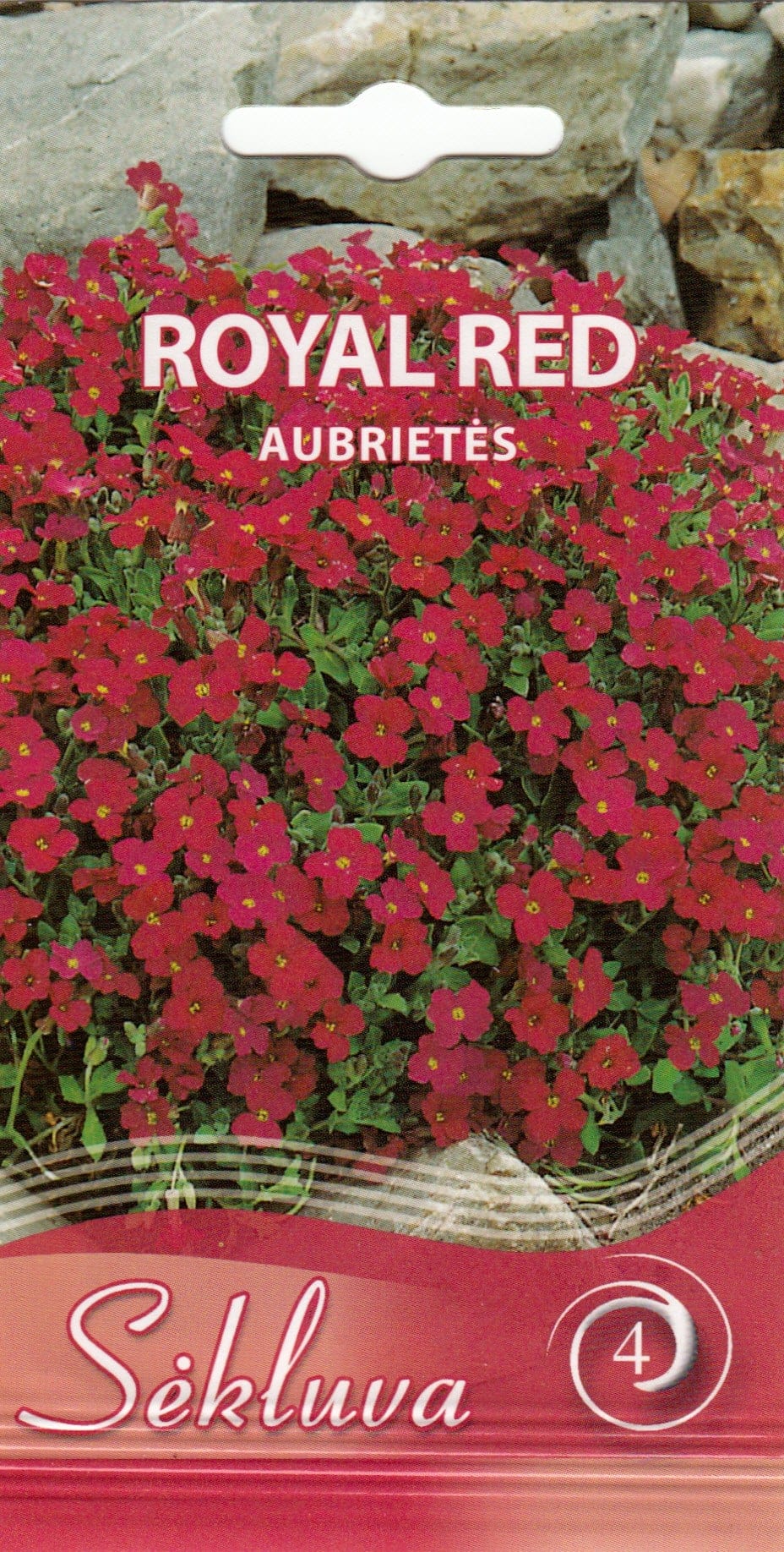 Aed-aubrieeta "Royal Red"