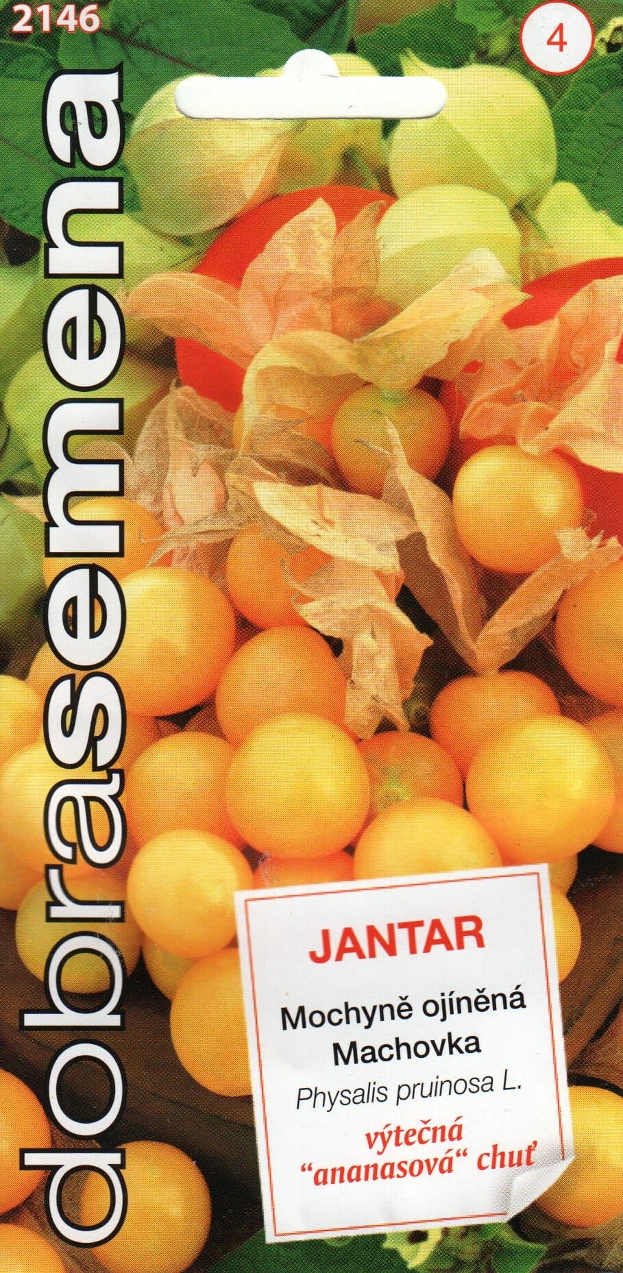 Tikkerfüüsal "Jantar"