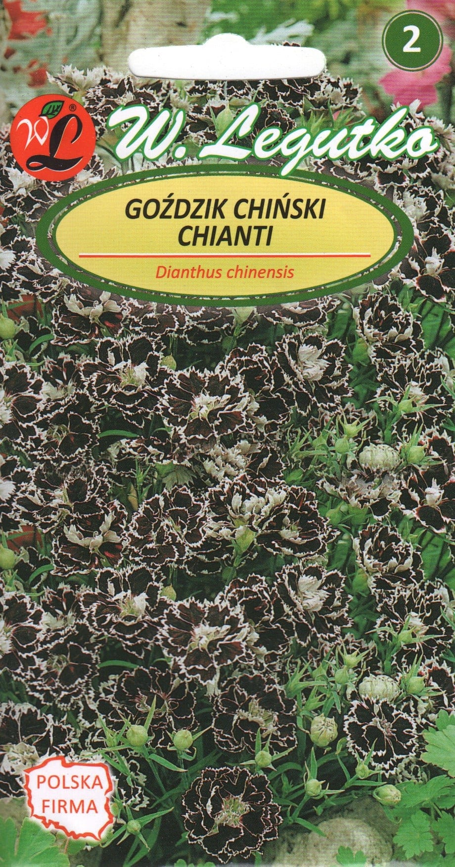 Hiina nelk mustjas-punane "Chianti"
