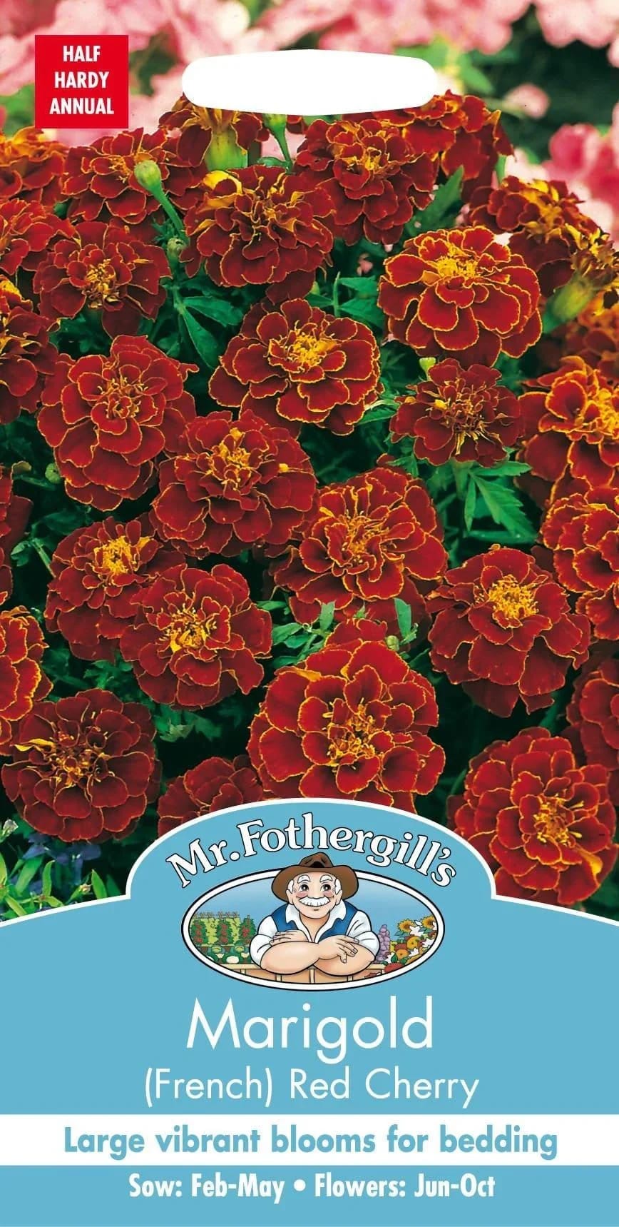 Peiulill "Red Cherry"