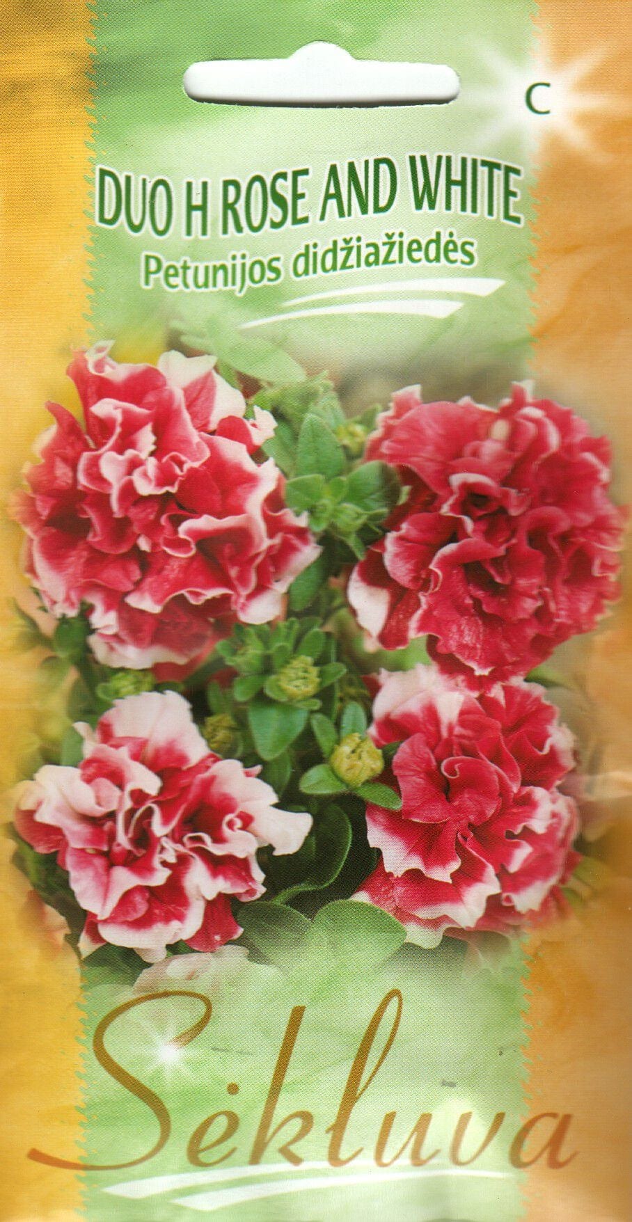 Petuunia "Duo Rose and White" F1