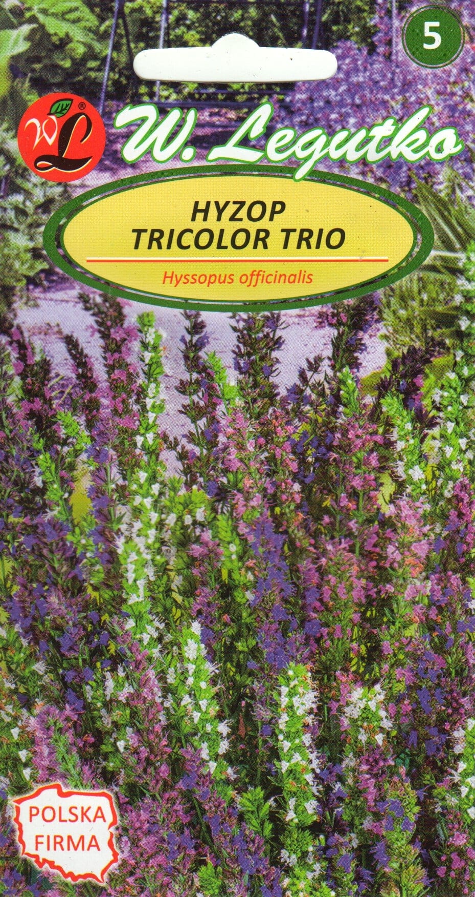 Harilik iisop "Tricolour Trio"