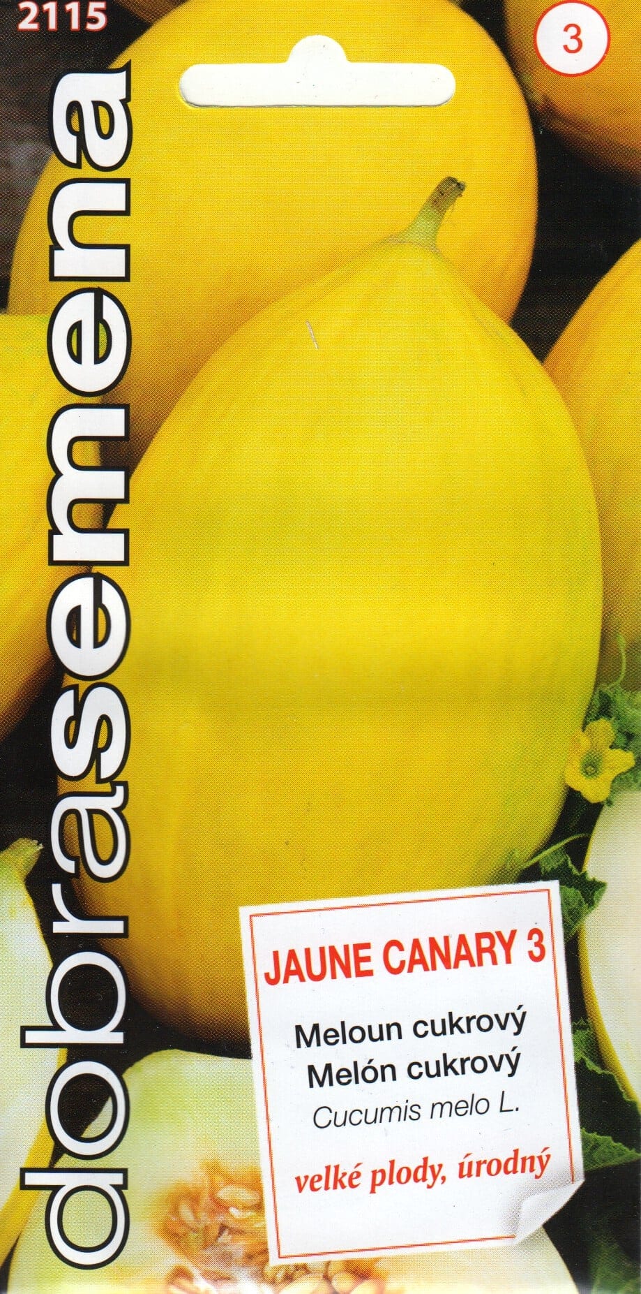 Melon "Jaune Canari 3"
