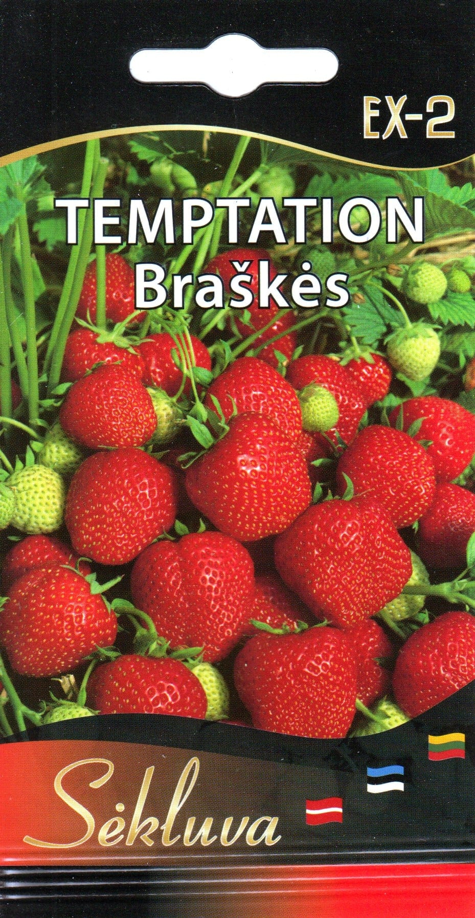 Aedmaasikas "Temptation"