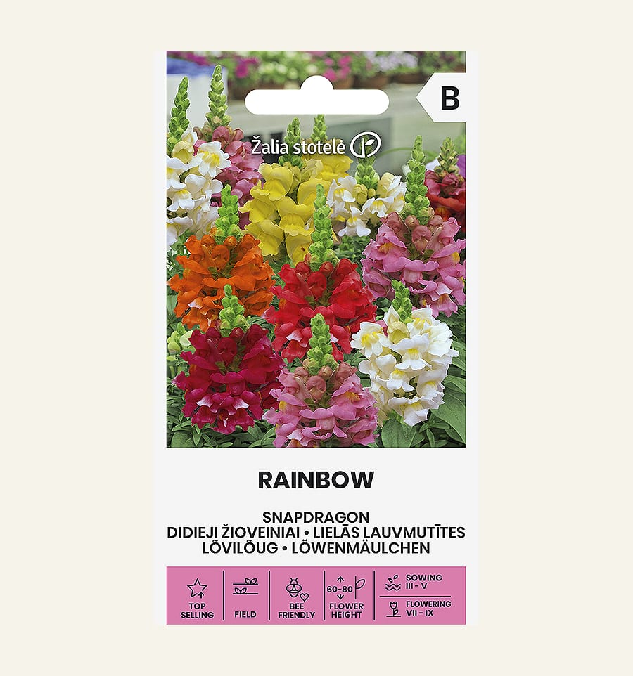 Lõvilõug "Rainbow"