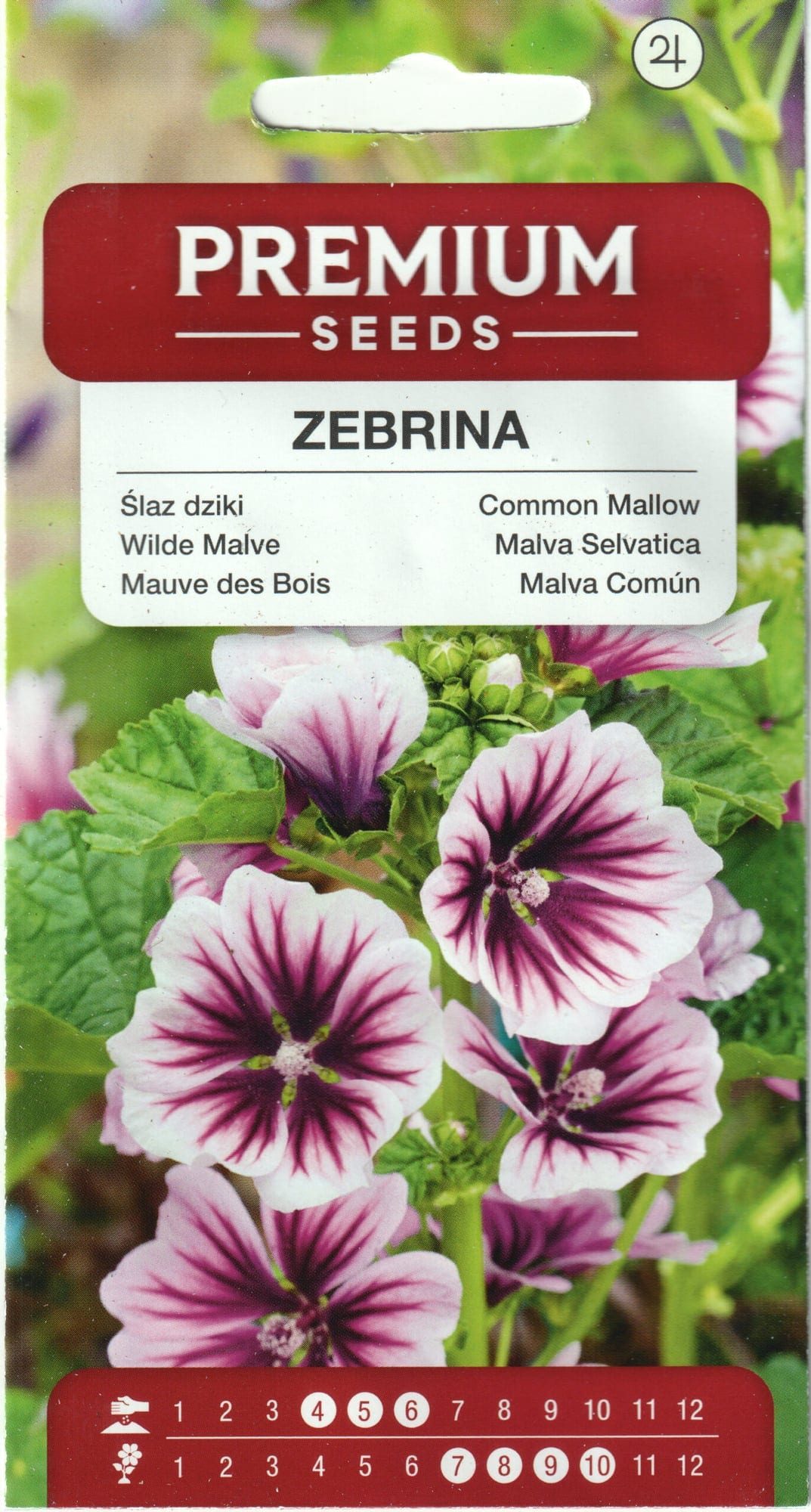 Mets-kassinaeris "Zebrina"