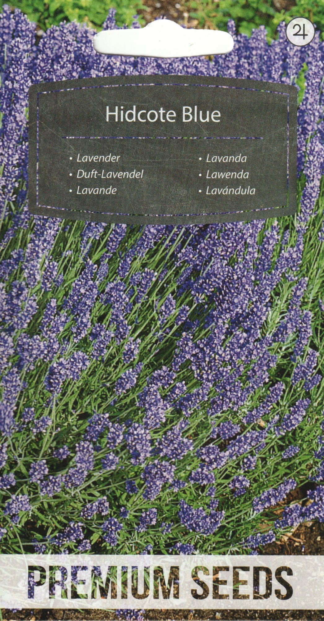 Tähklavendel "Hidcote Blue"