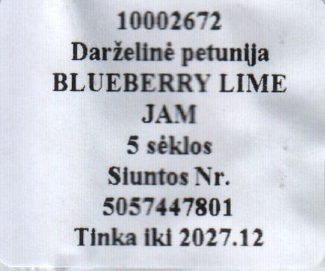 Petuunia "Blueberry Lime Jam"