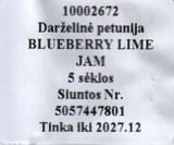Pilt 2