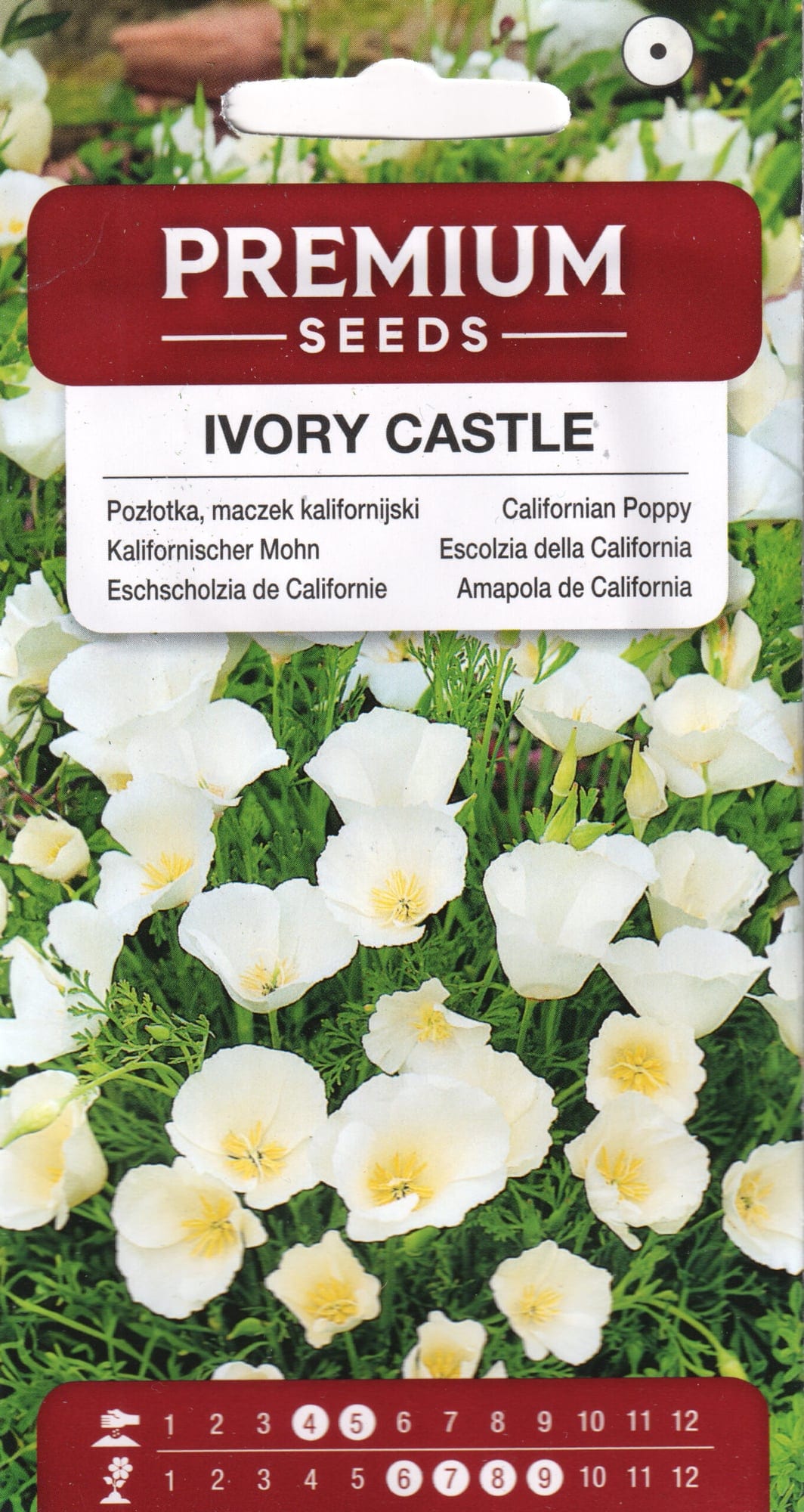 Kalifornia läänemagun "Ivory Castle"