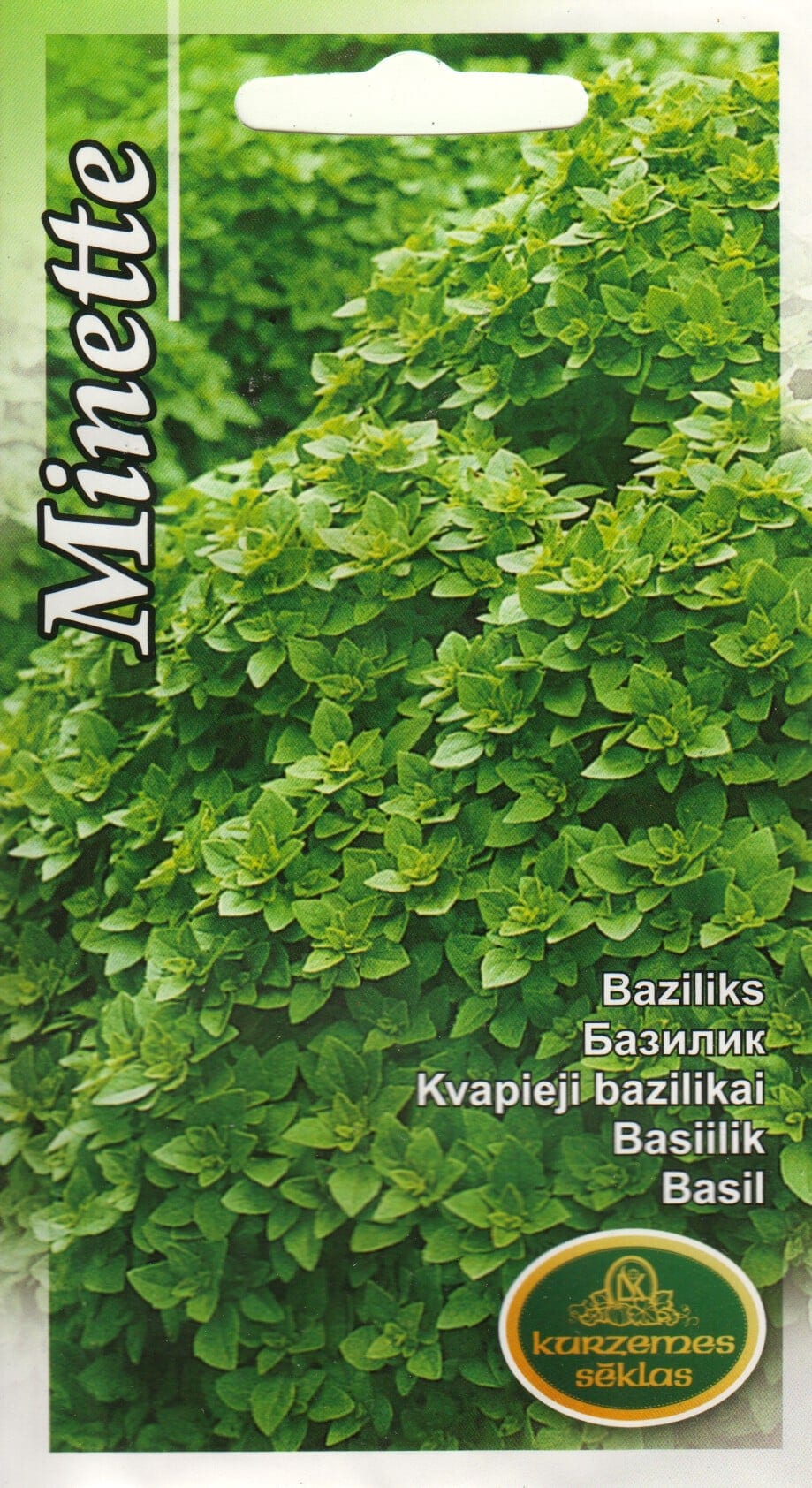 Kääbusbasiilik "Minette"
