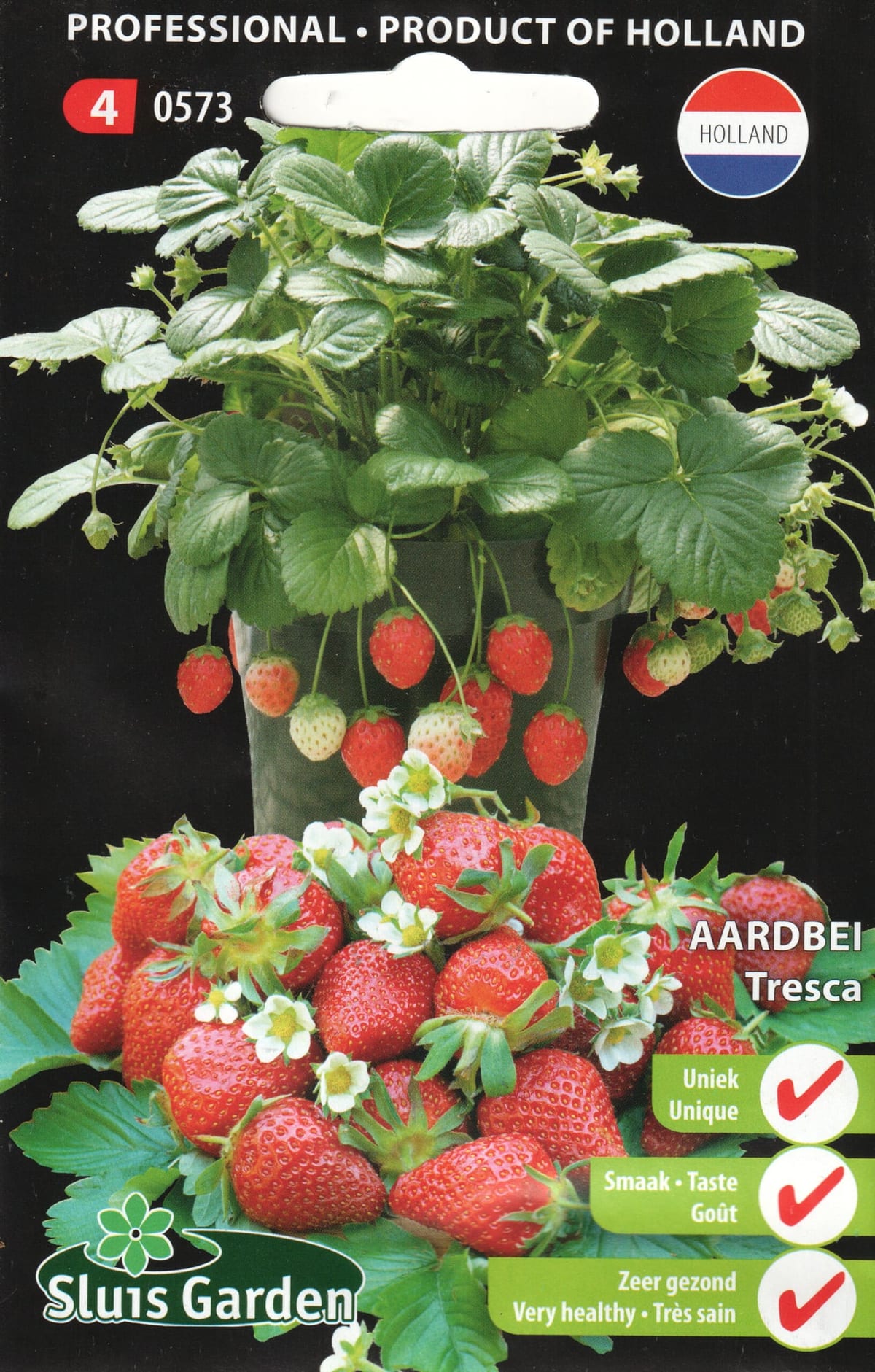 Aedmaasikas "Tresca"