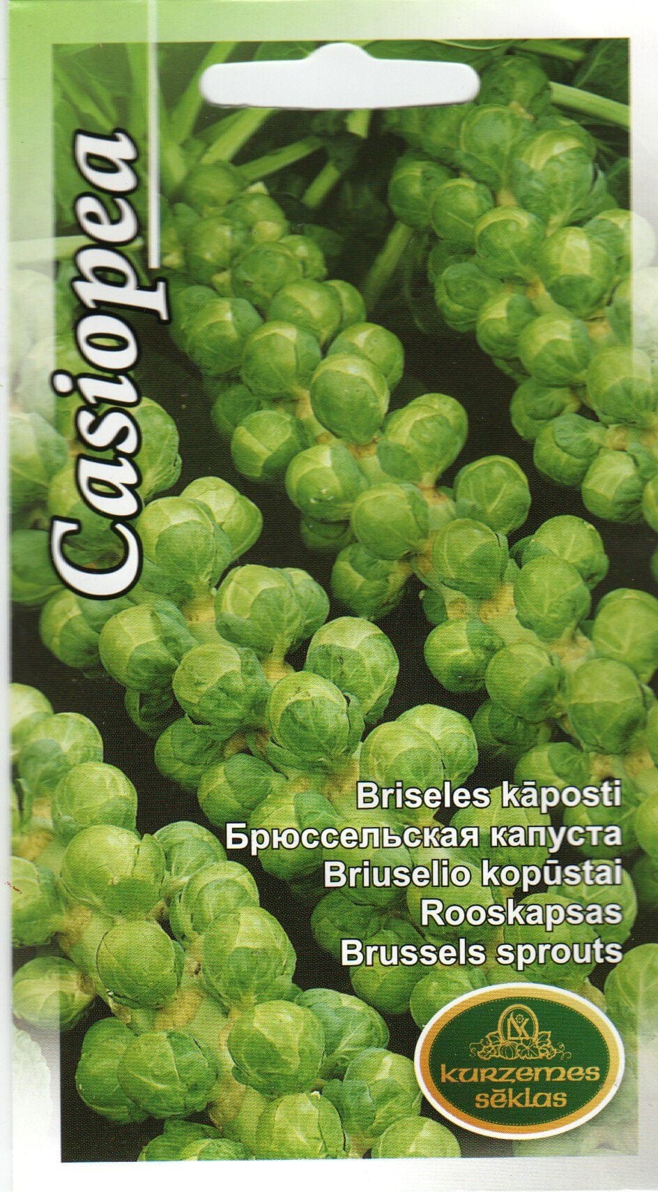 Rooskapsas "Casiopea"