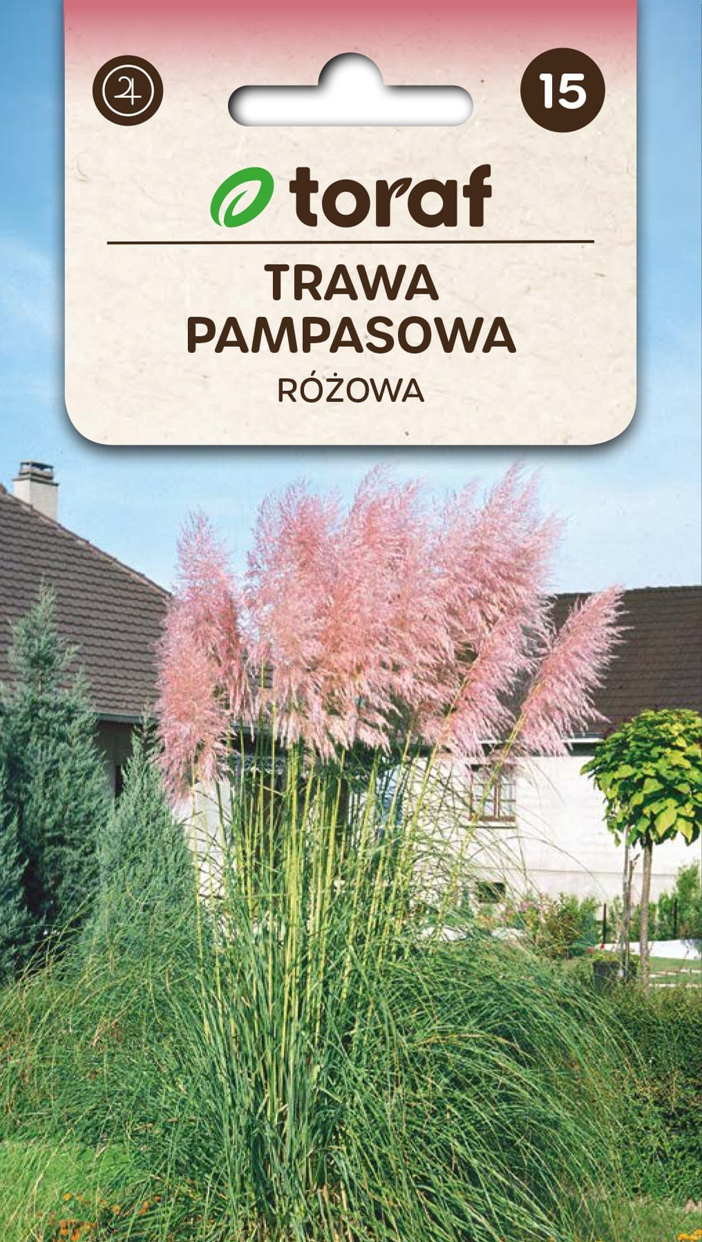 Argentiina pamparohi roosa