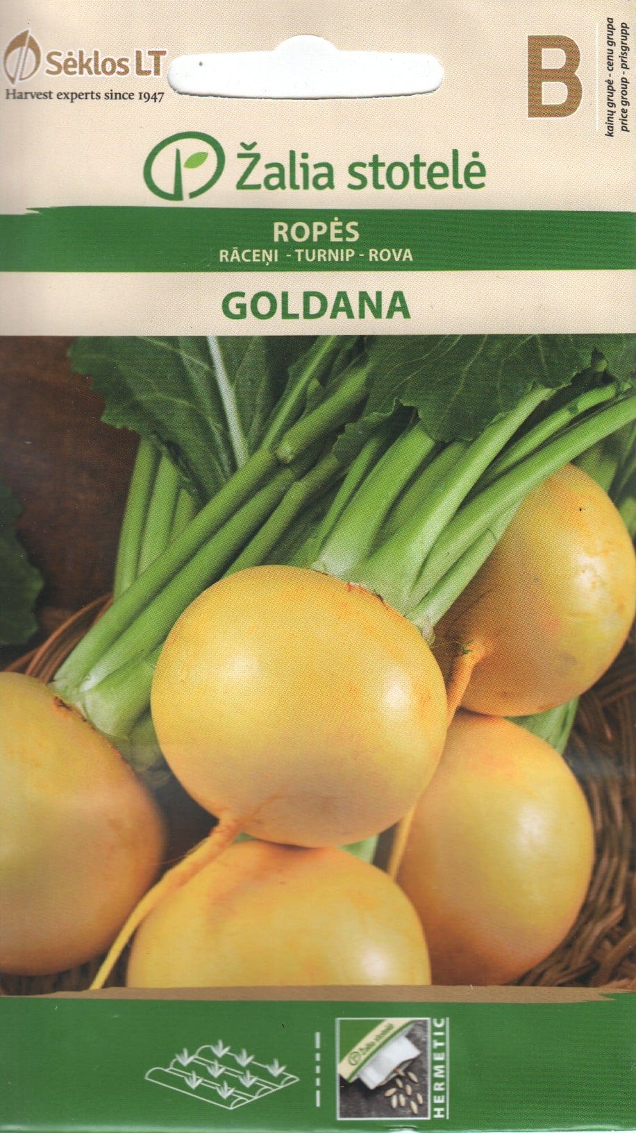 Naeris "Goldana"