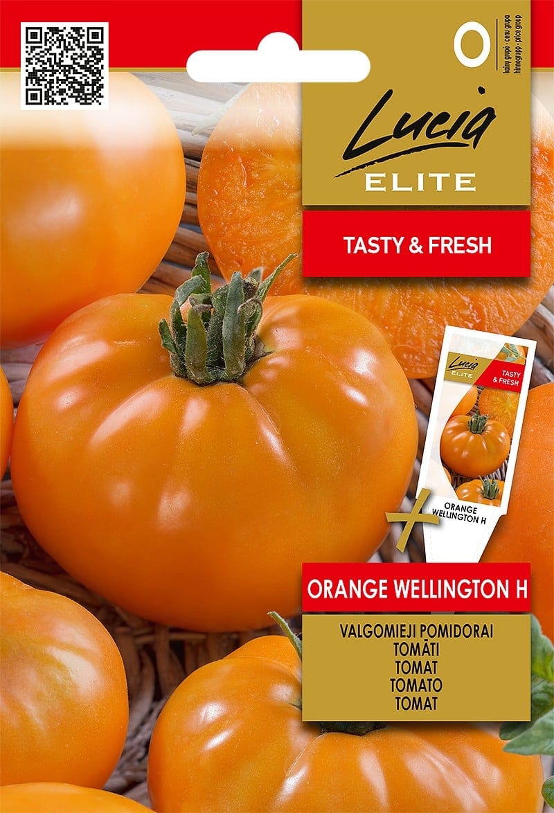 Tomat "Orange Wellington" F1