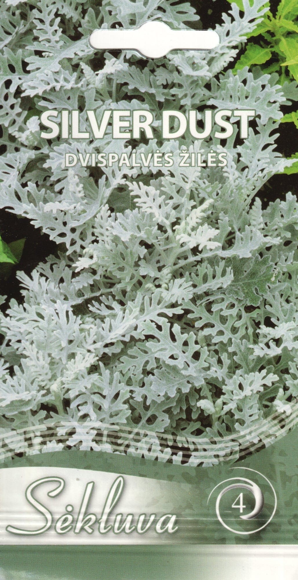Vilt-ristirohi ehk viltleht "Silverdust"