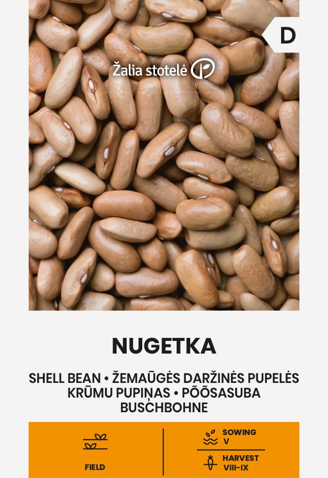Aeduba "Nugetka"