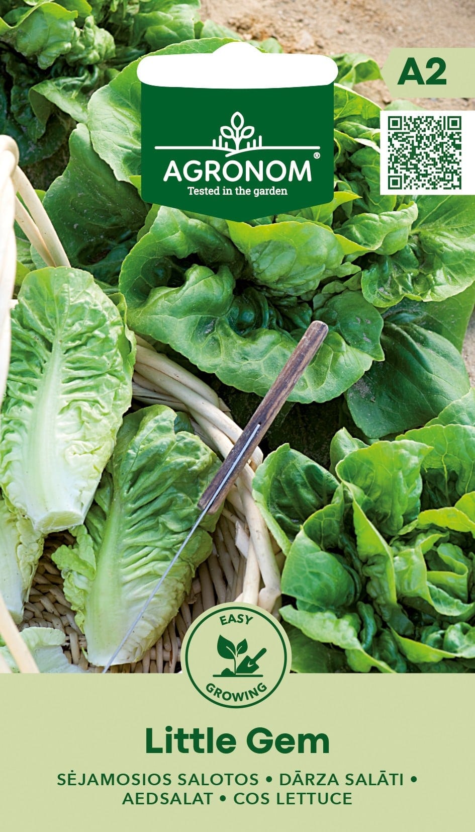 Rooma salat "Little Gem"