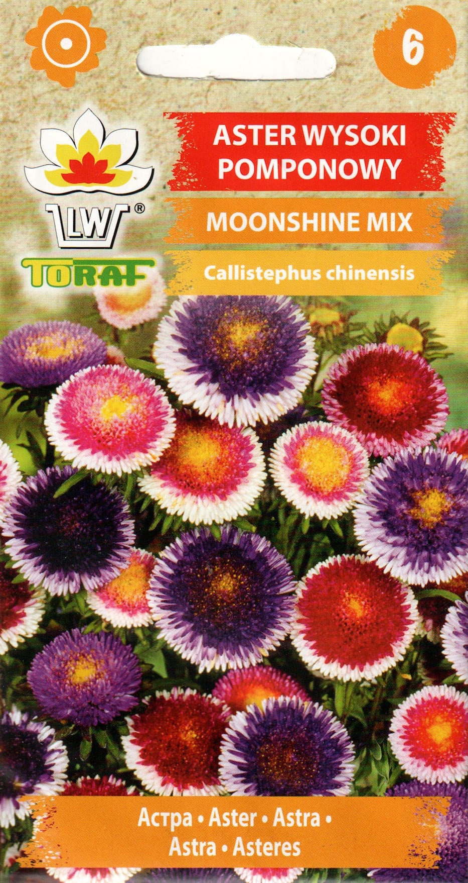 Aster "Moonshine Mix"