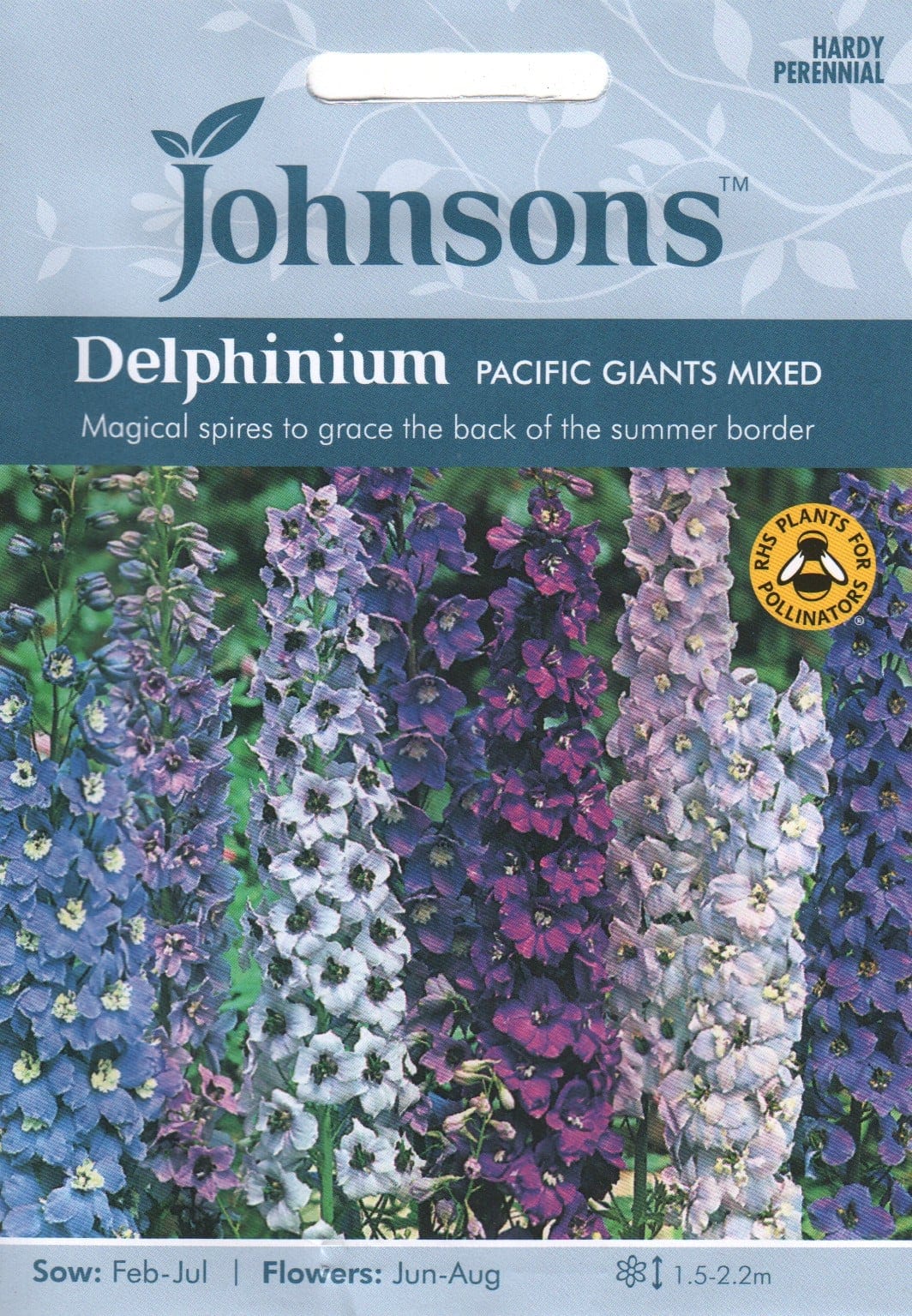 Aed-kukekannus "Pacific Giants Mixed"