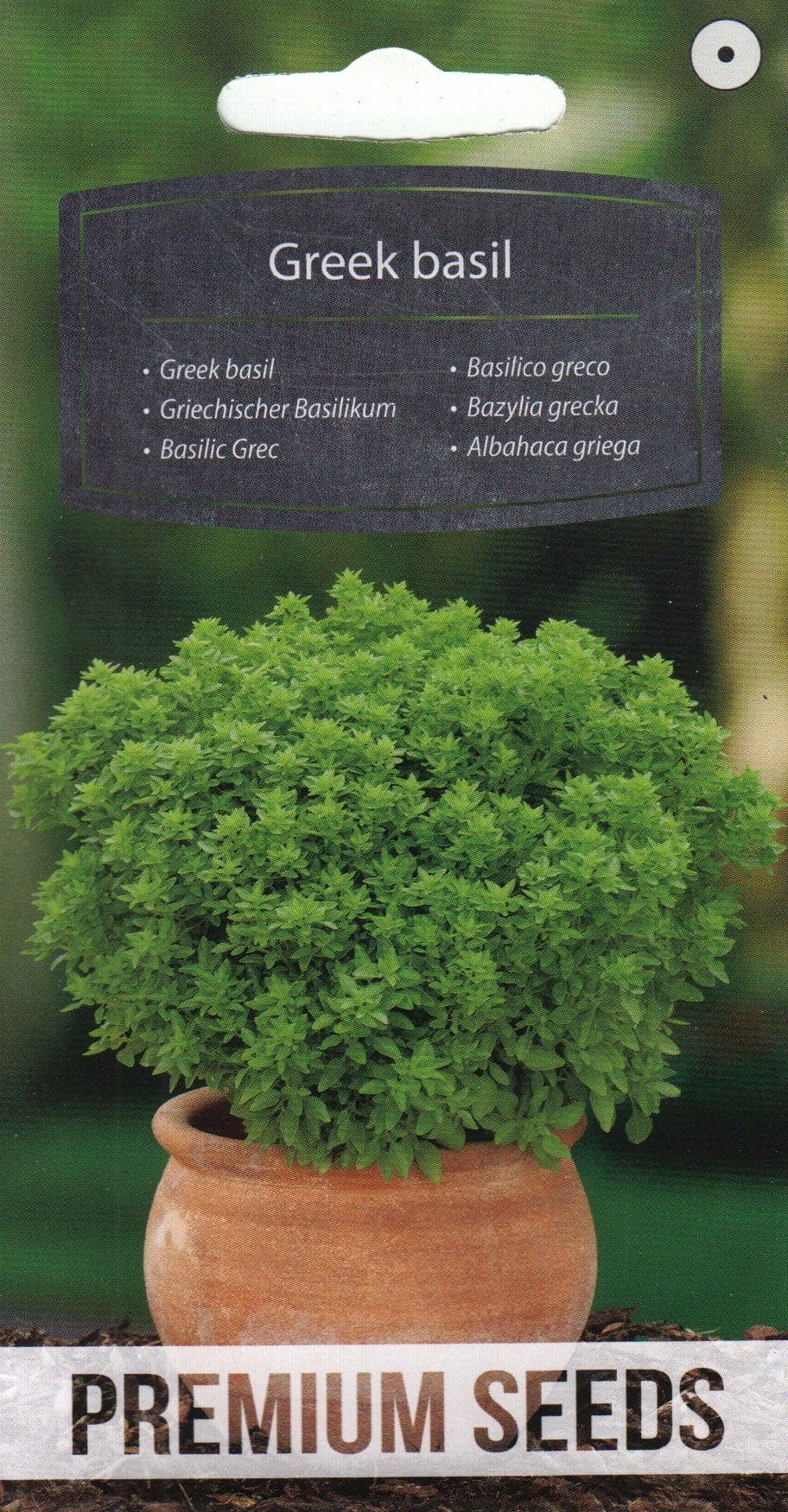 Kreeka basiilik