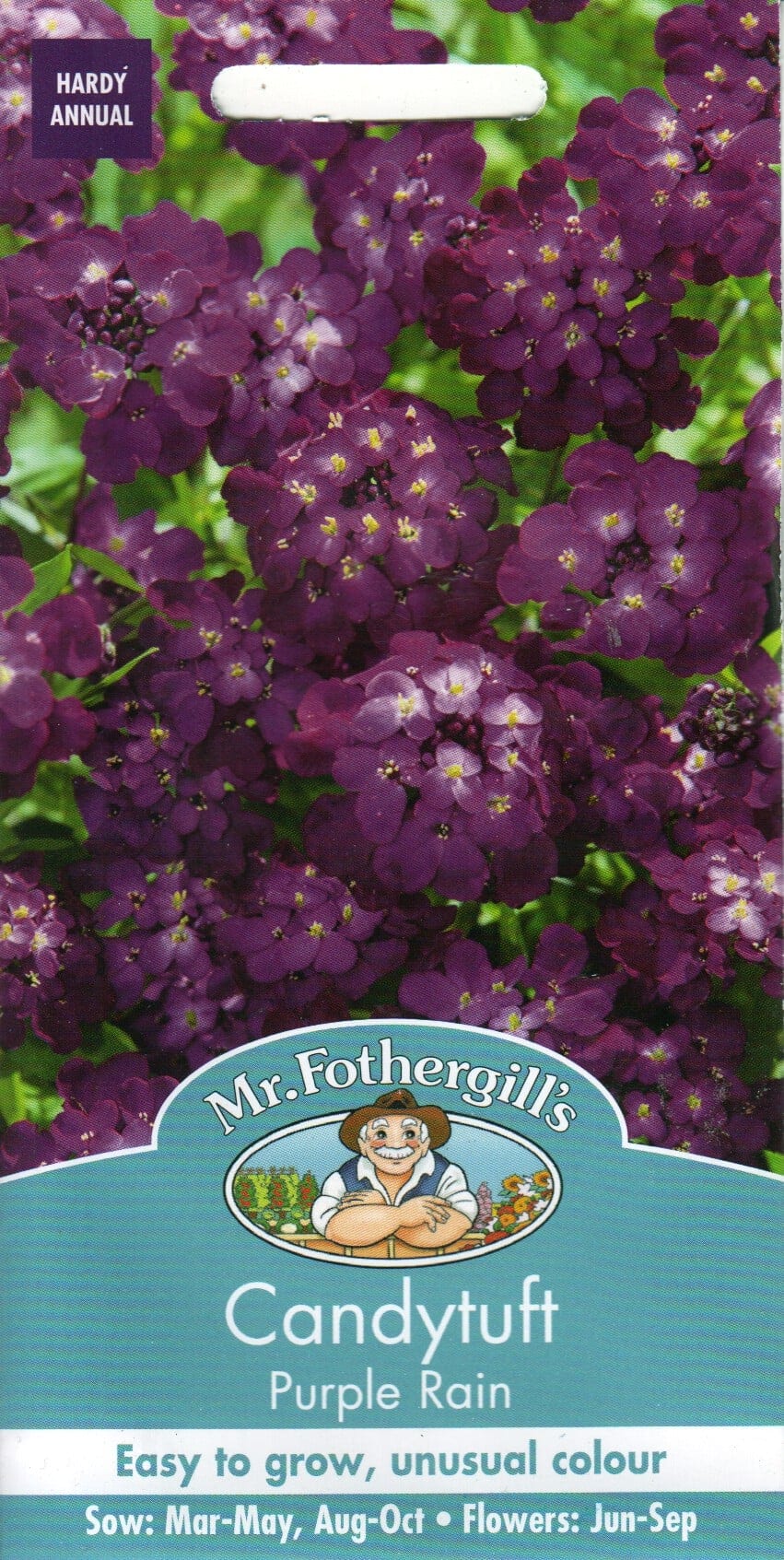 Sarikibeeris "Purple Rain"