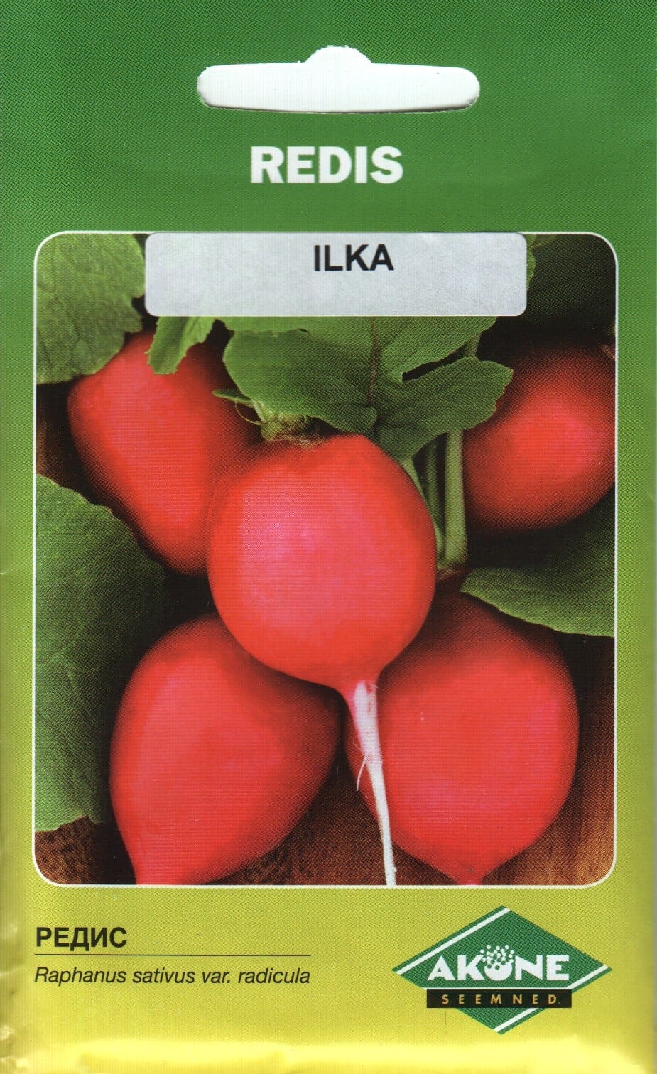 Redis "Ilka"