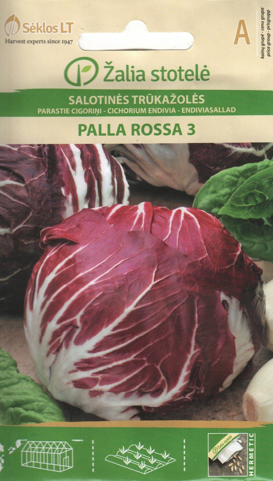 Harilik sigur "Palla Rossa 3"