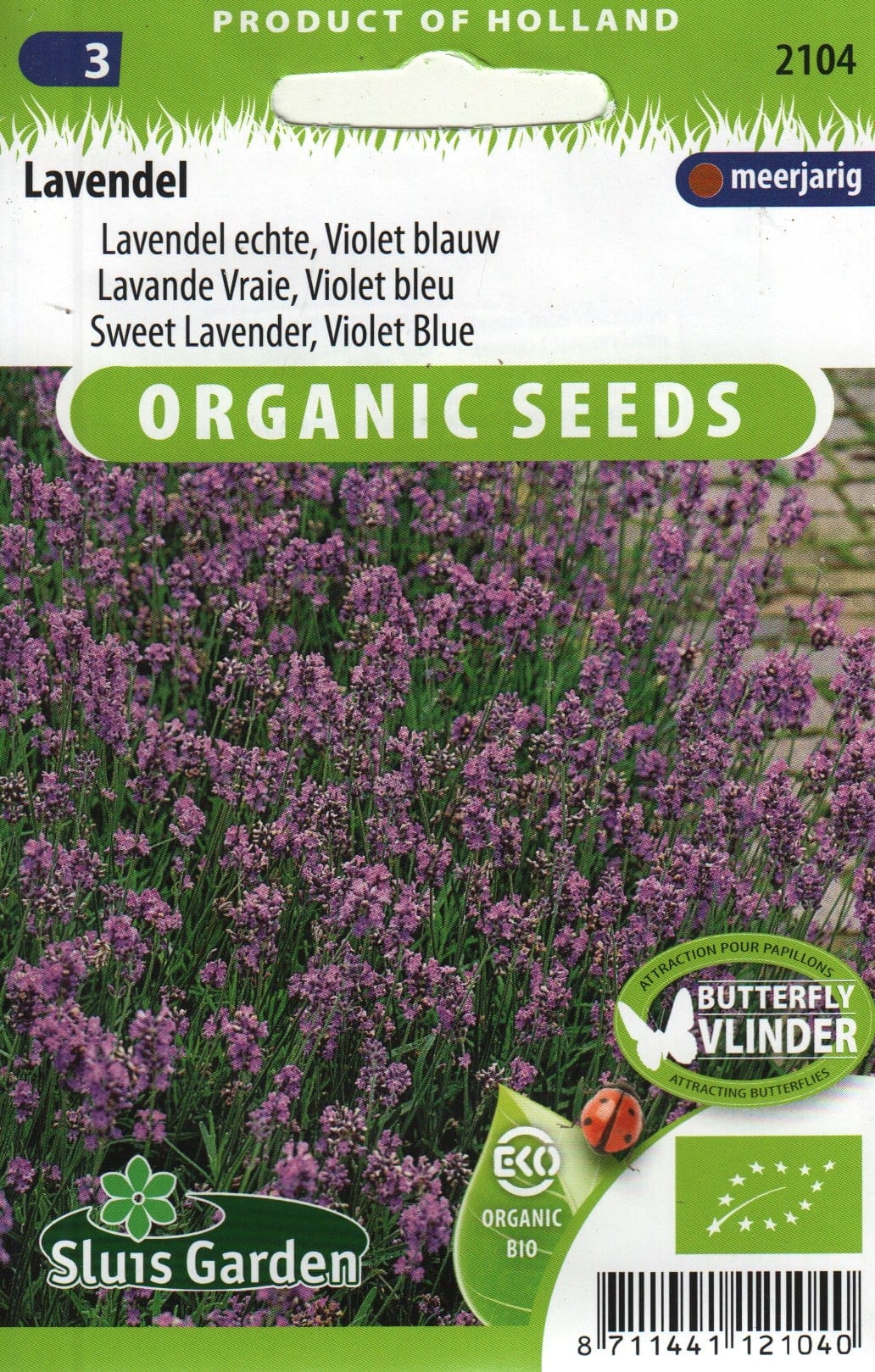 Tähklavendel "Violet Blue"