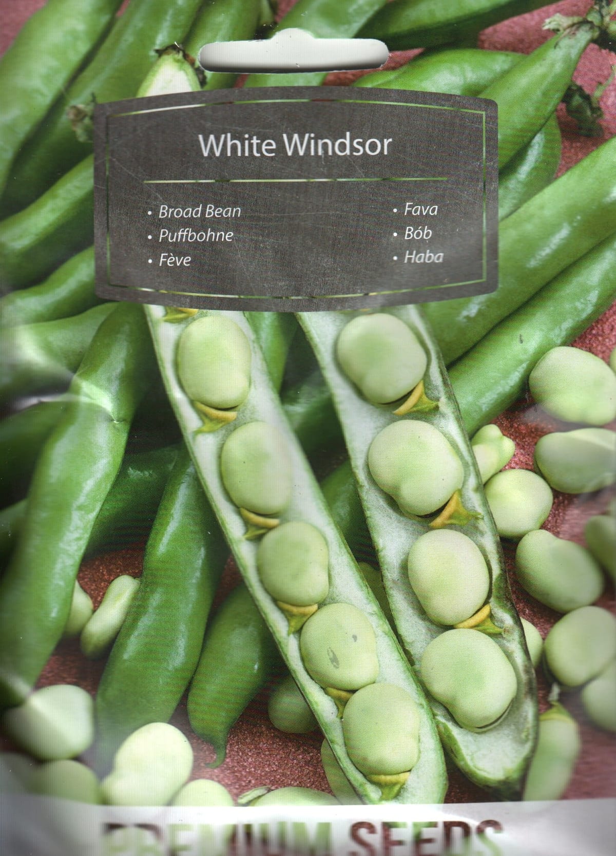 Põlduba "White Windsor"