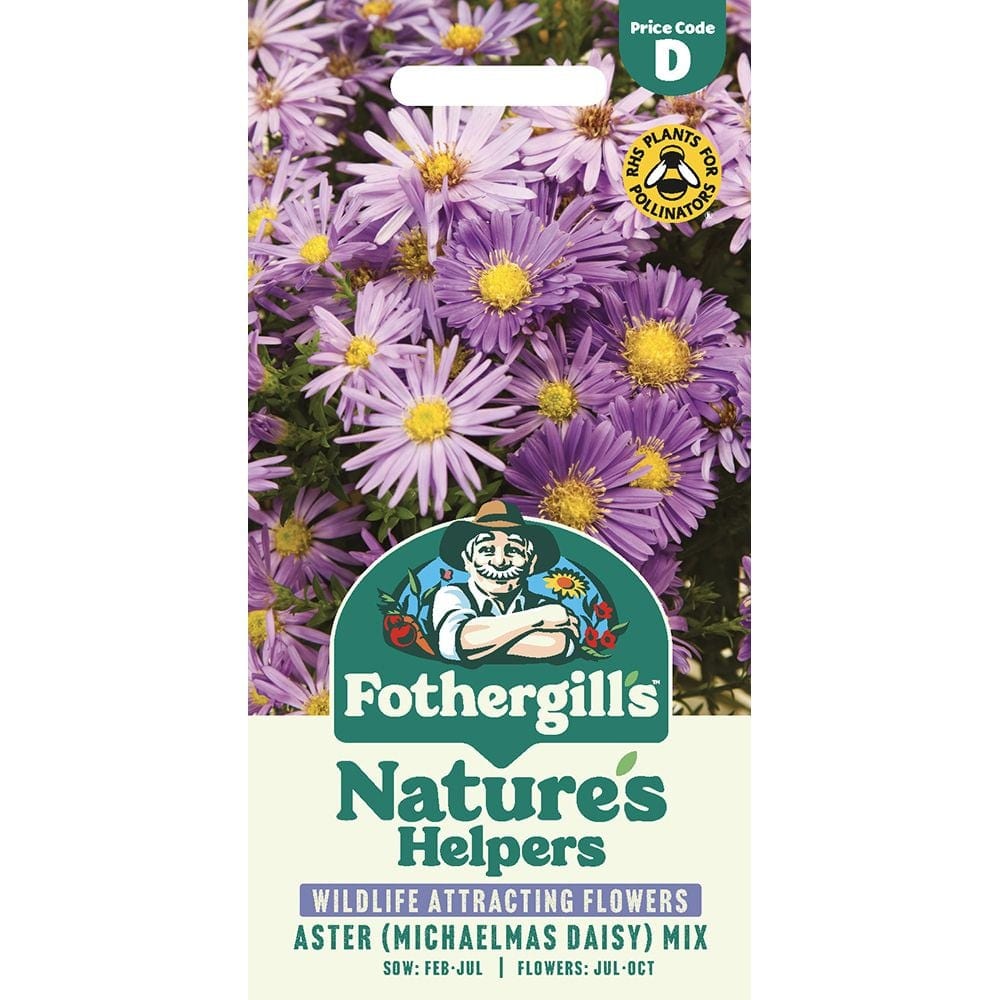 Õiekas sügisaster "Michaelmas Daisy" mix